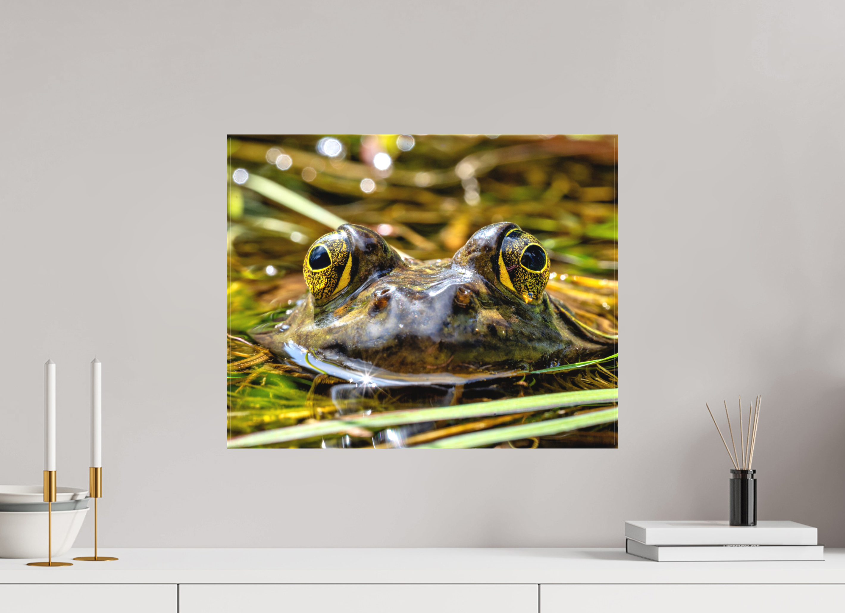 20 x 16″, Matte Canvas with Wrapped Edges Eyes of Frog