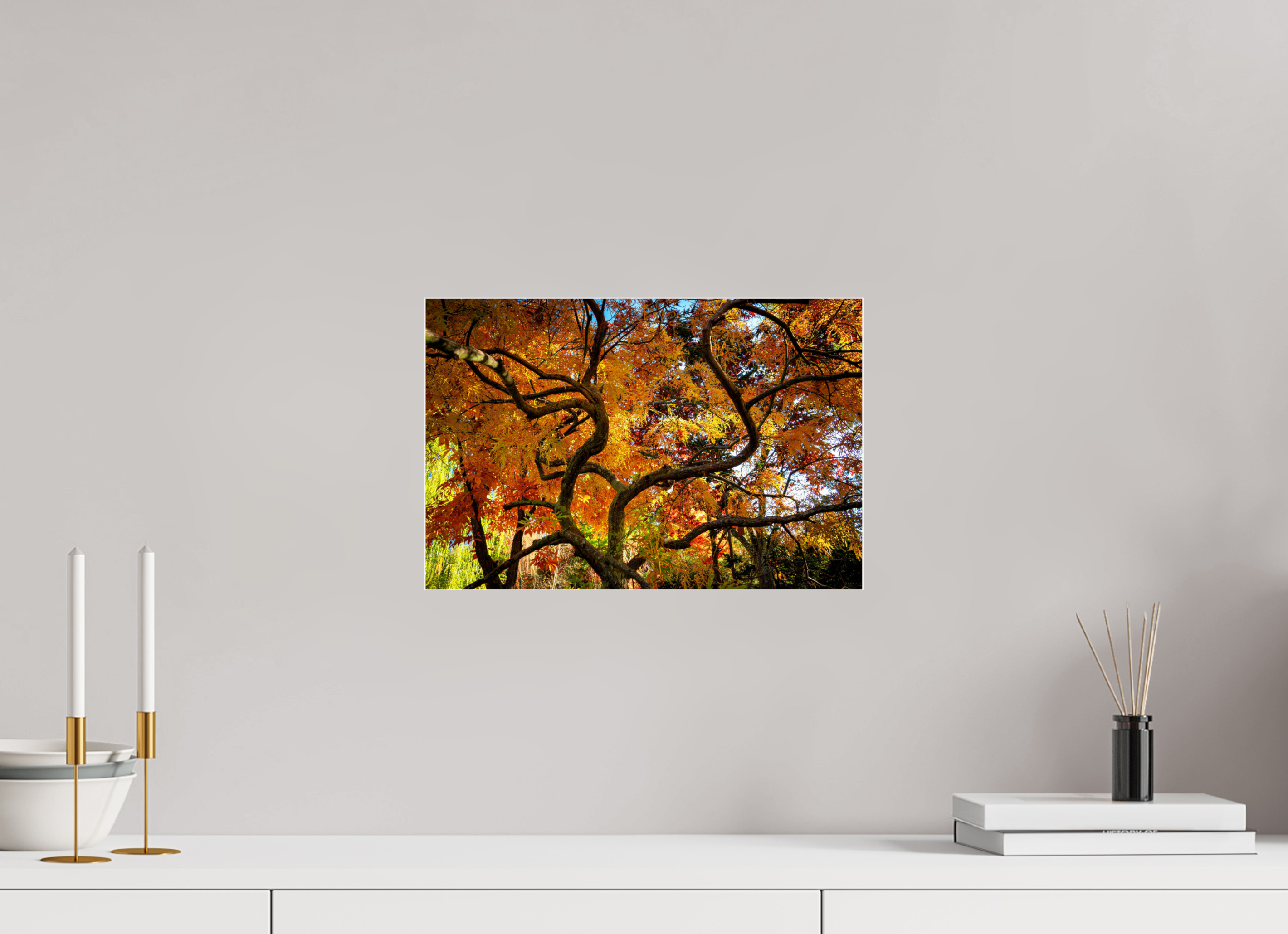 15 x 10″, Photo Mounted Under Acrylic Glass Autumn Maple