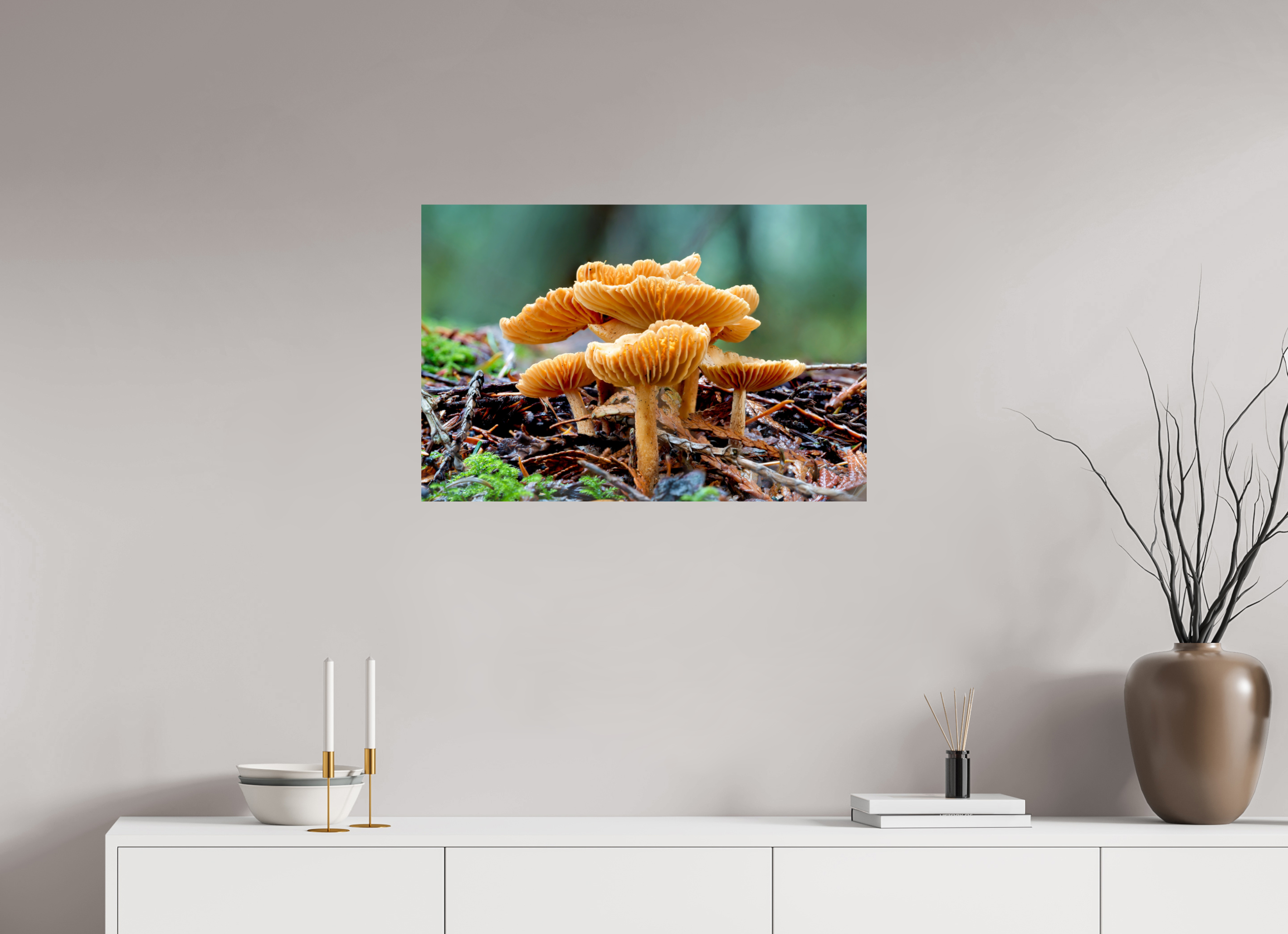 30 x 20″, Photo Print on Aluminum Backing Family of Fungi