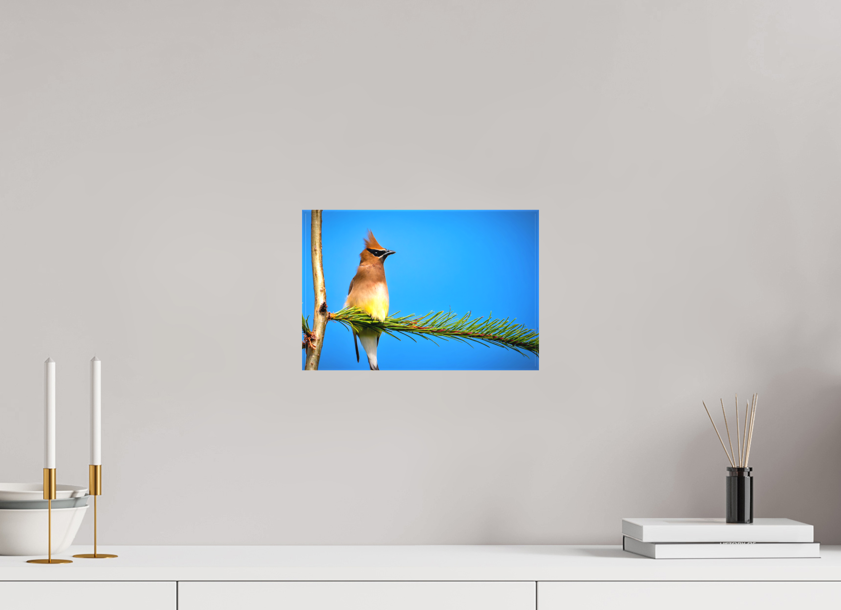 12 x 8″, Matte Canvas with Wrapped Edges Waxwing