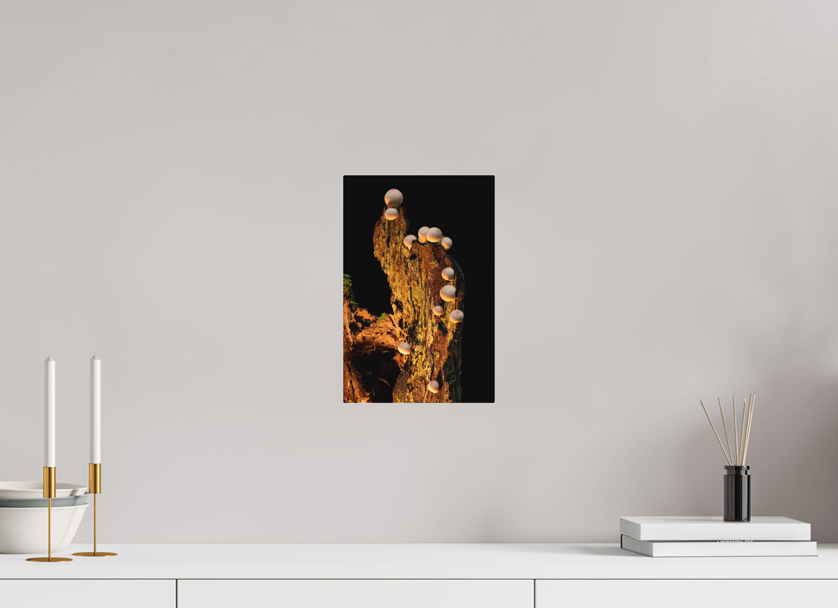 8 x 12″, Direct Print on Aluminum with mounting hardware included. Stepping Mushrooms
