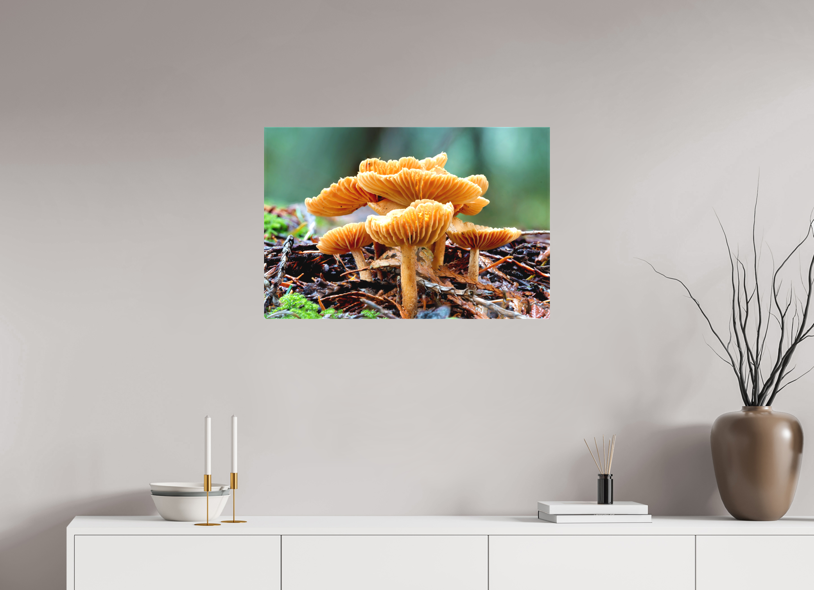 30 x 20″, Matte Canvas with Wrapped Edges Family of Fungi