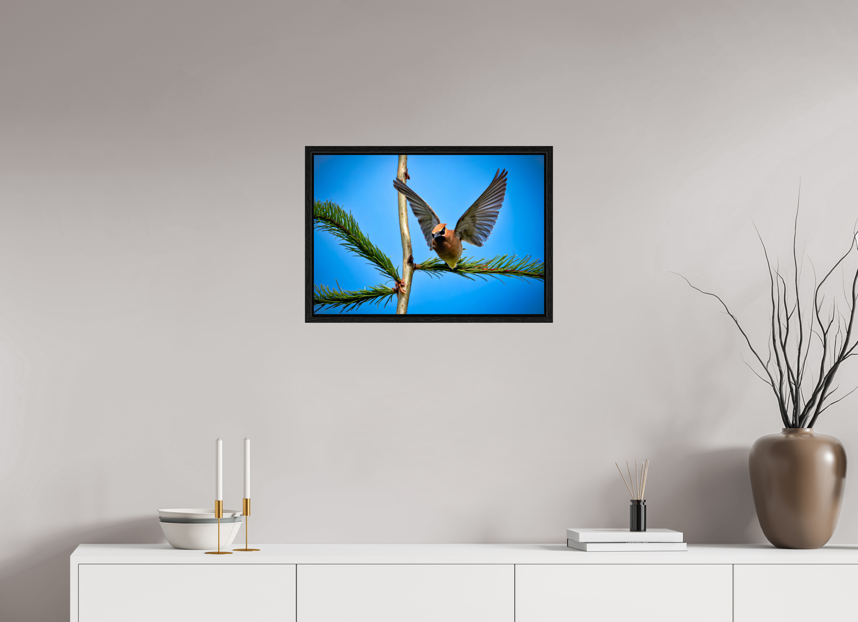 23.1 x 16″, Floater Frame Wing of the Waxwing