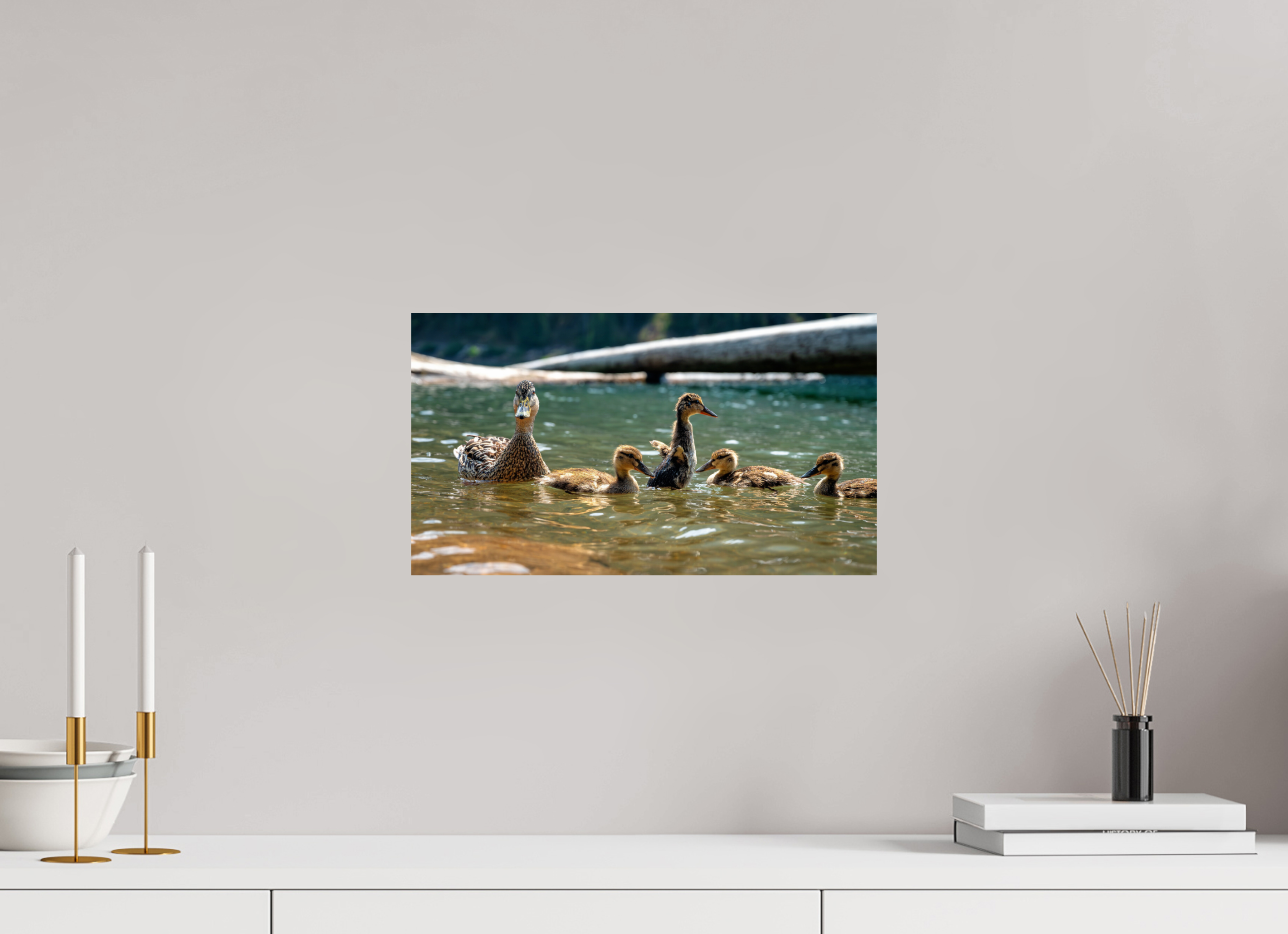 16 x 9″, Photo Print on Aluminum Backing Ducklings These Days.