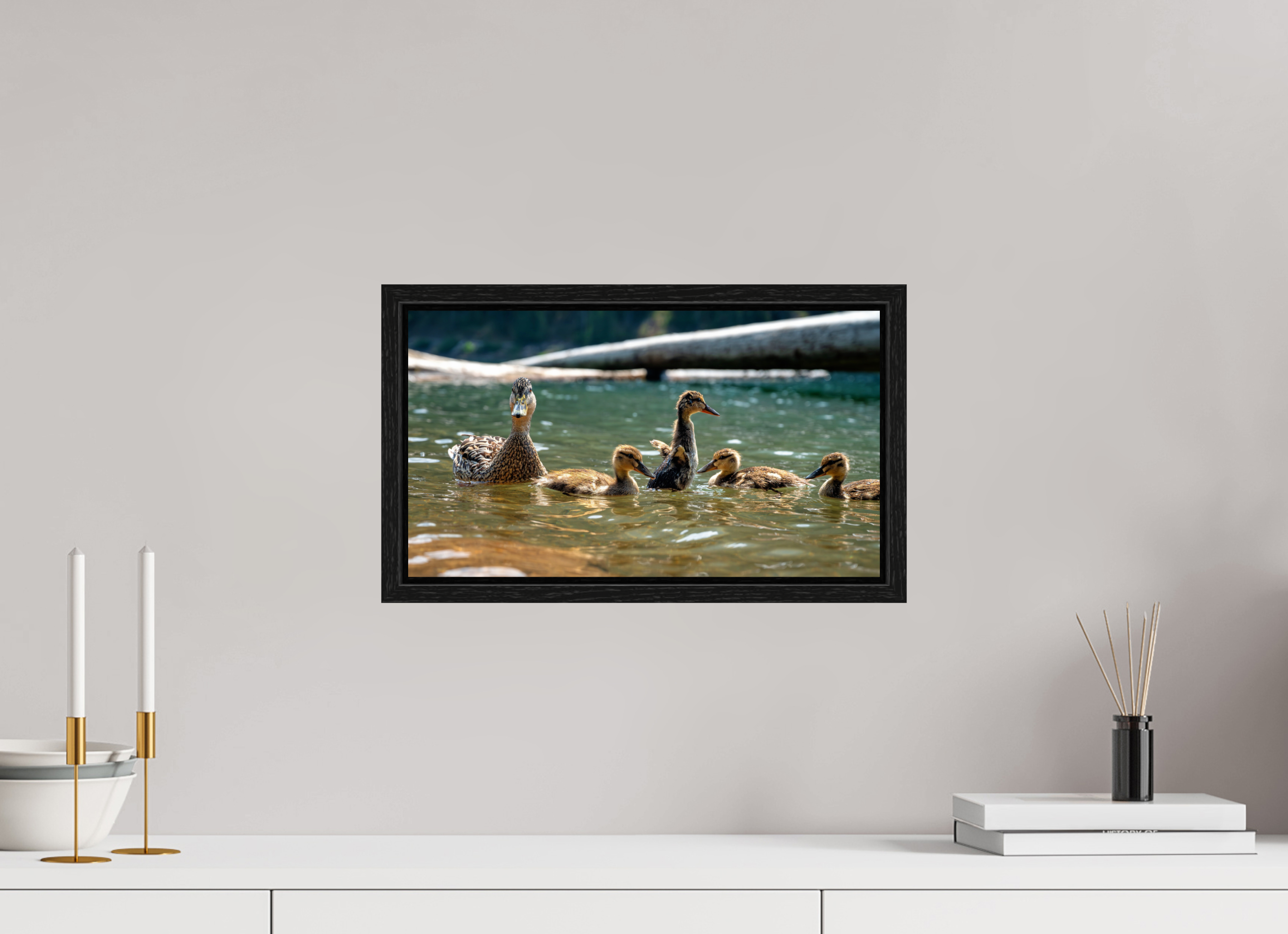 16 x 9″, Floater Frame Ducklings These Days.