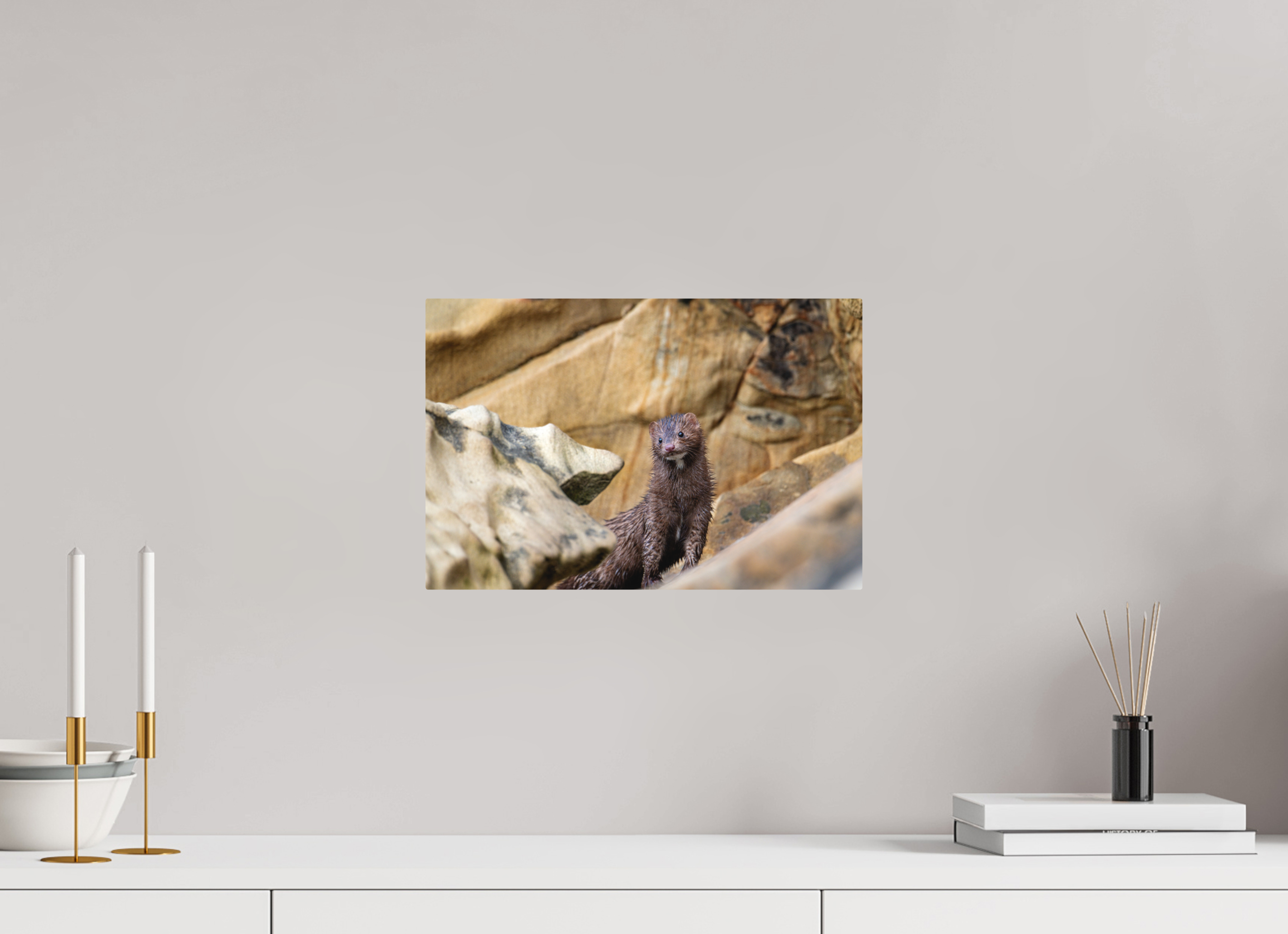 15 x 10″, Direct Print on Aluminum with mounting hardware included. Seaside Mink