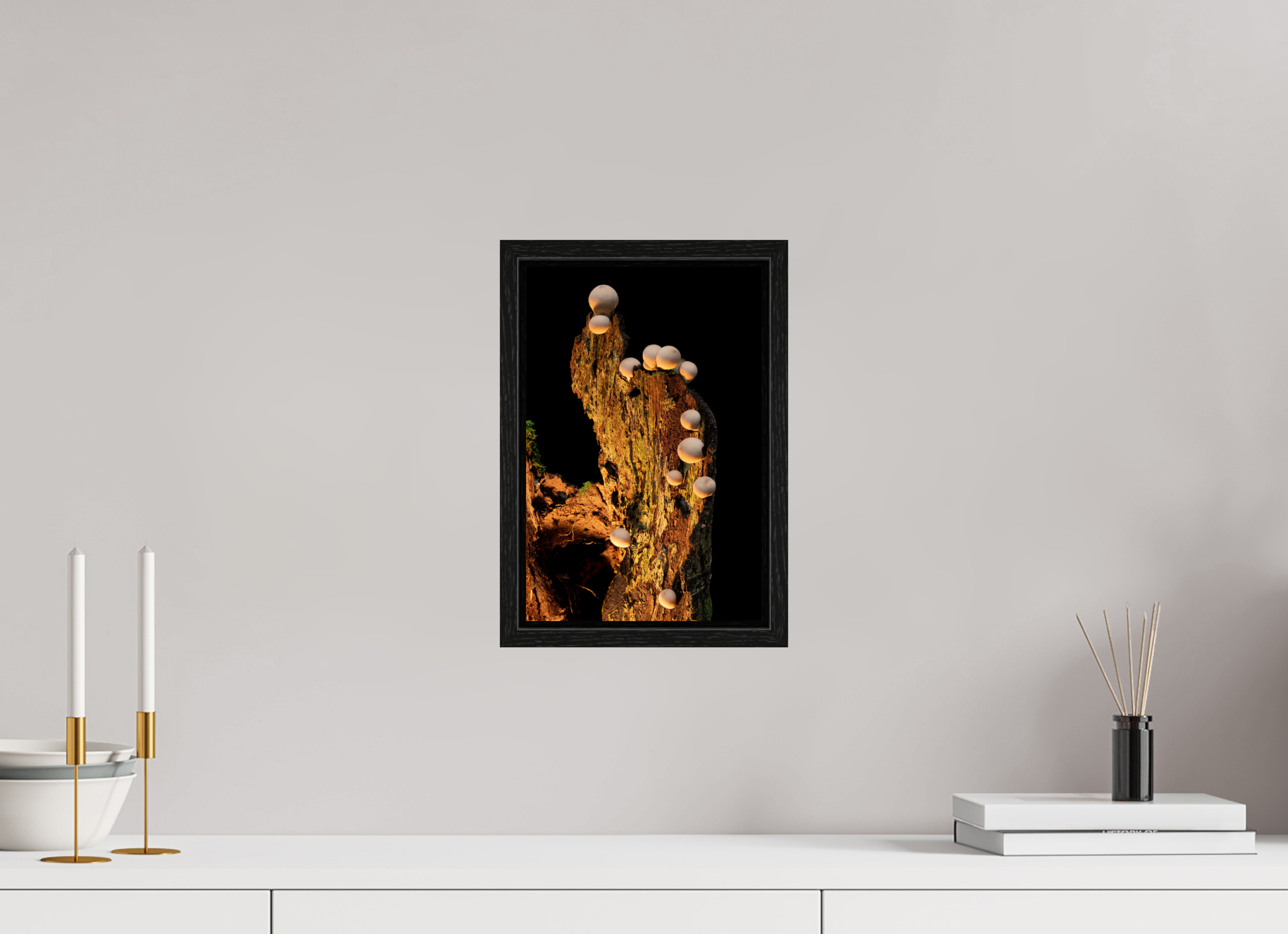8 x 12″, Floater Frame Stepping Mushrooms