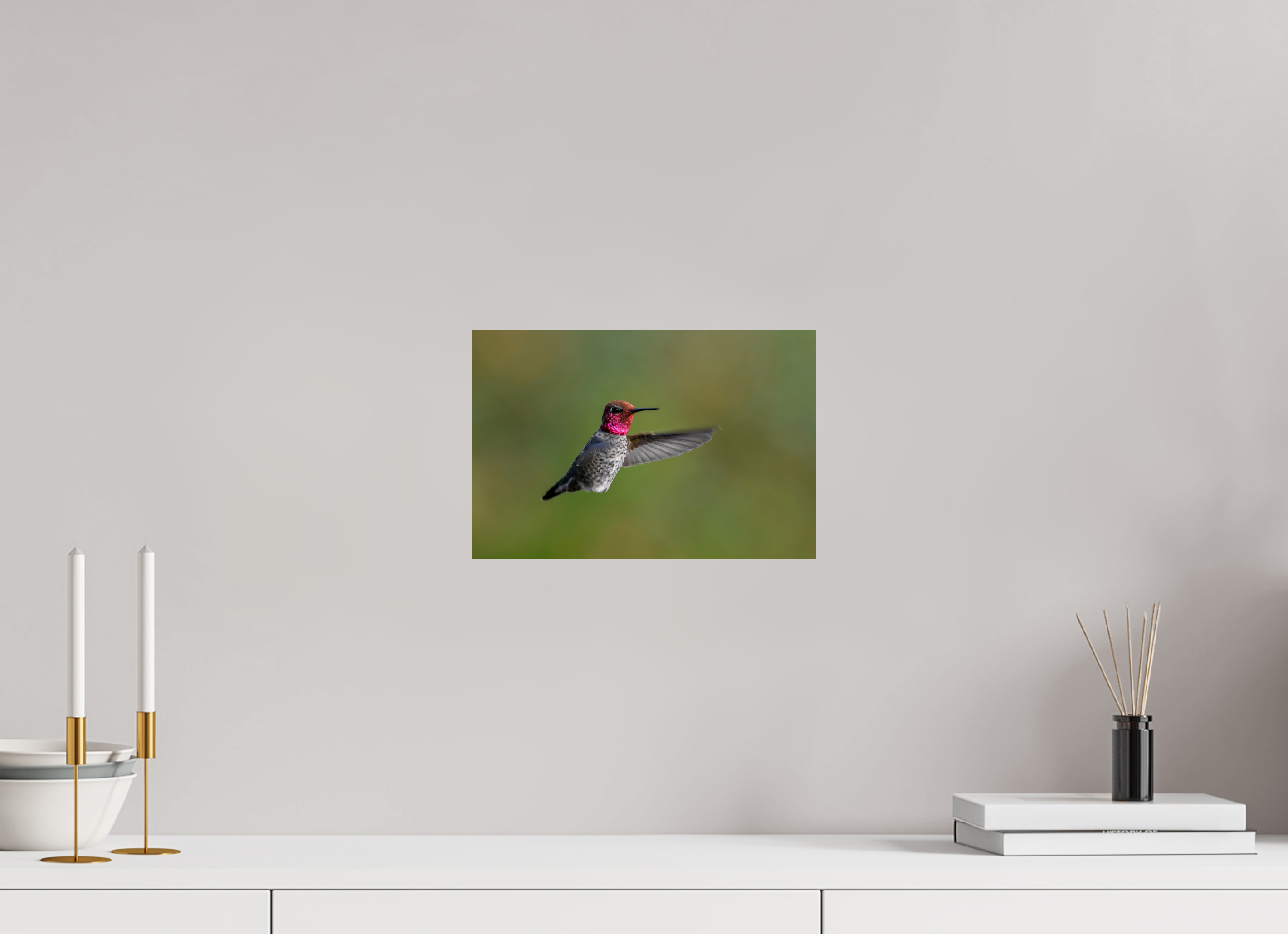 12 x 8″, Photo Print On Fuji Crystal DP II Glowing Anna's