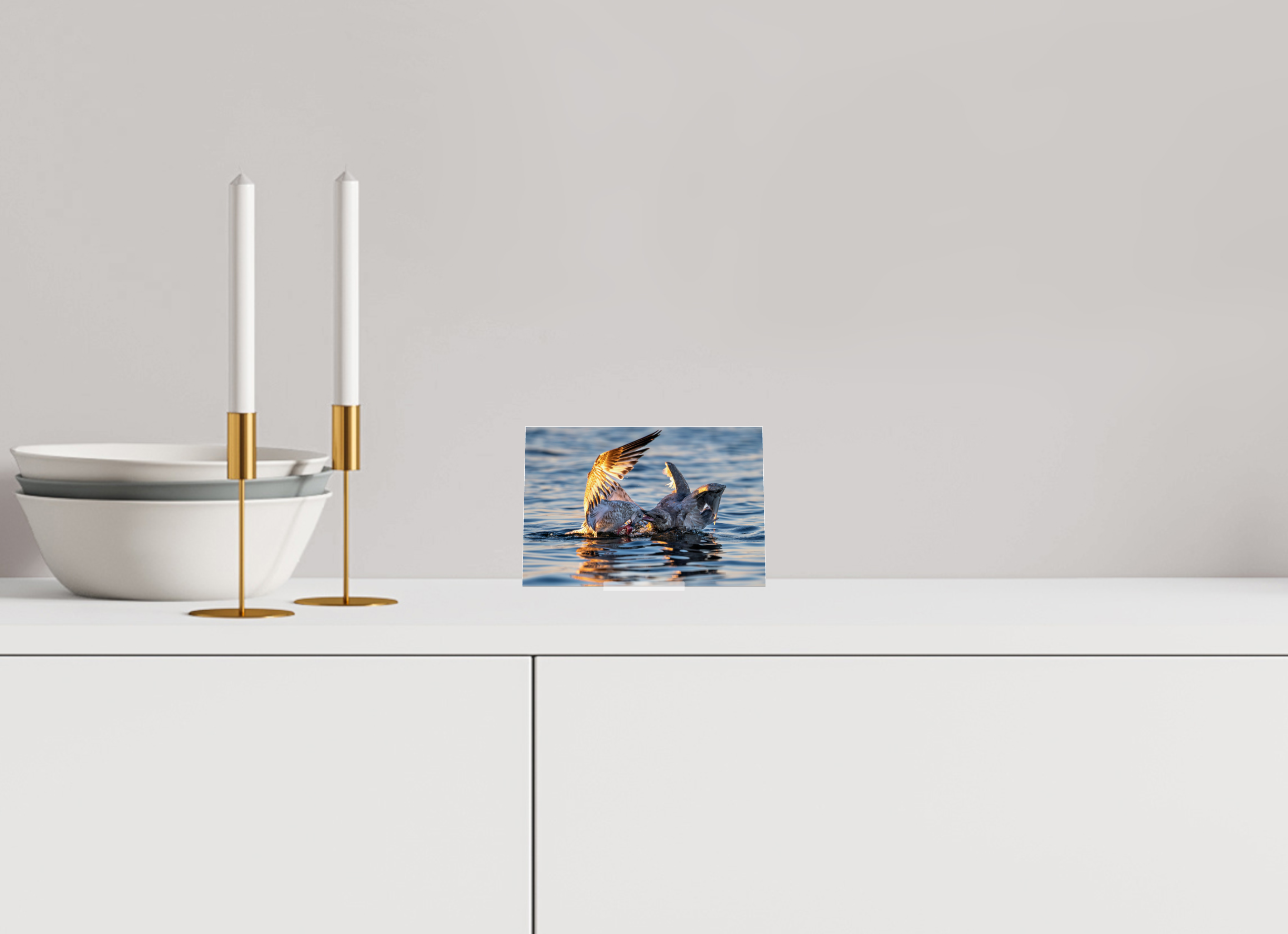6 x 4″, Acrylic Glass on Stand Seabird Battle