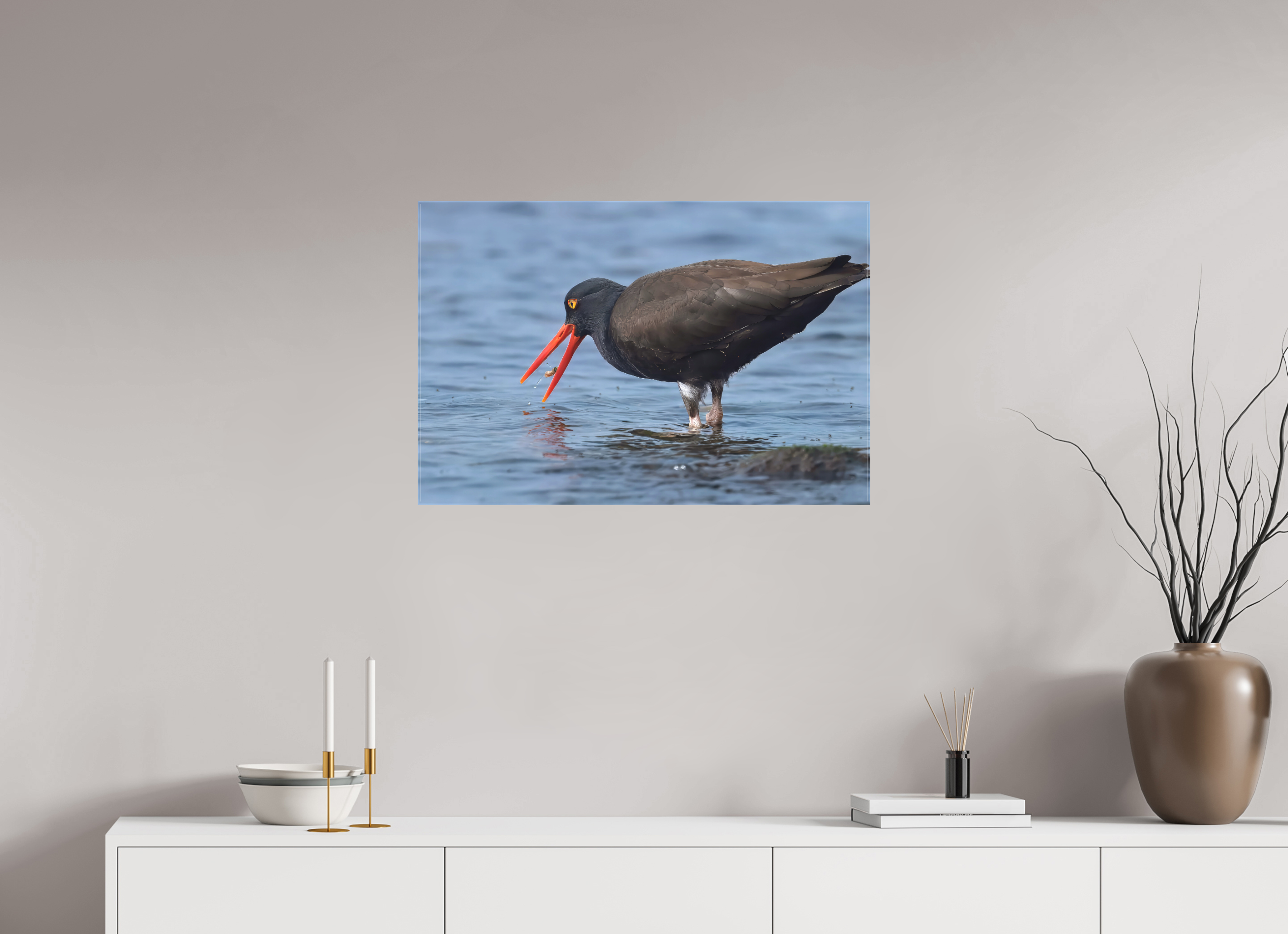30 x 20″, Matte Canvas with Wrapped Edges Oystercatcher