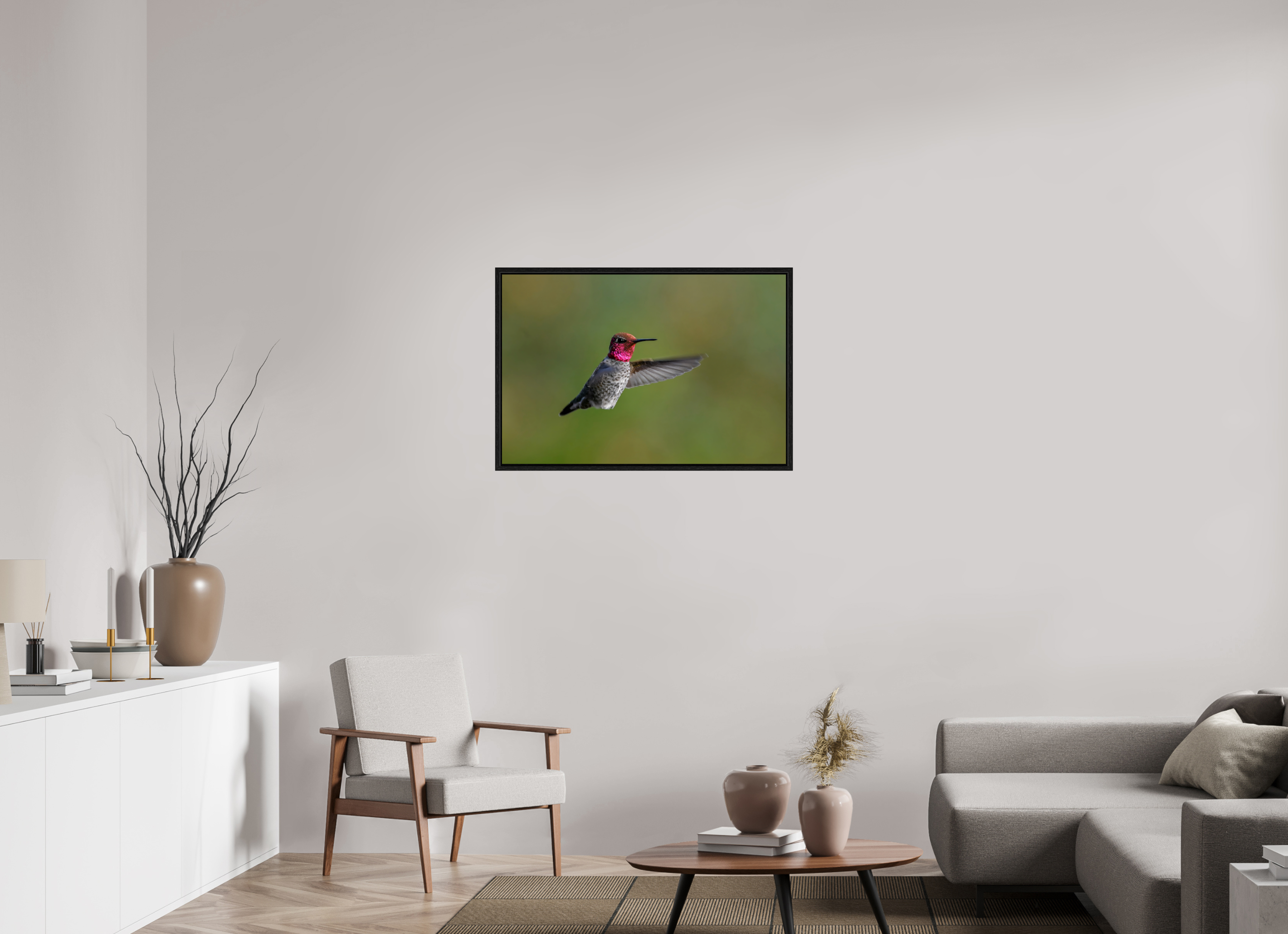 36 x 24″, Floater Frame Glowing Anna's