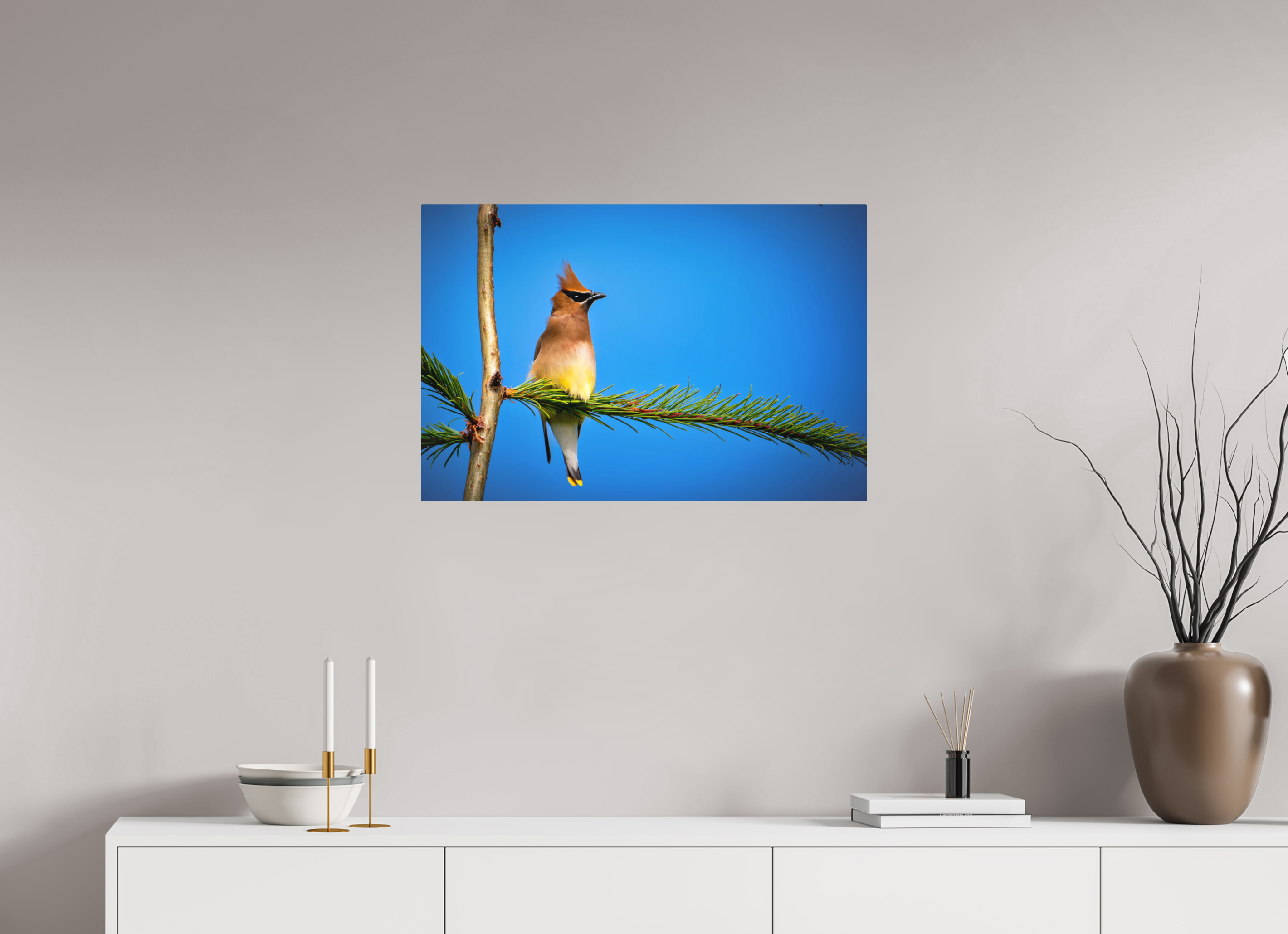 30 x 20″, Direct Print on Aluminum with mounting hardware included. Waxwing