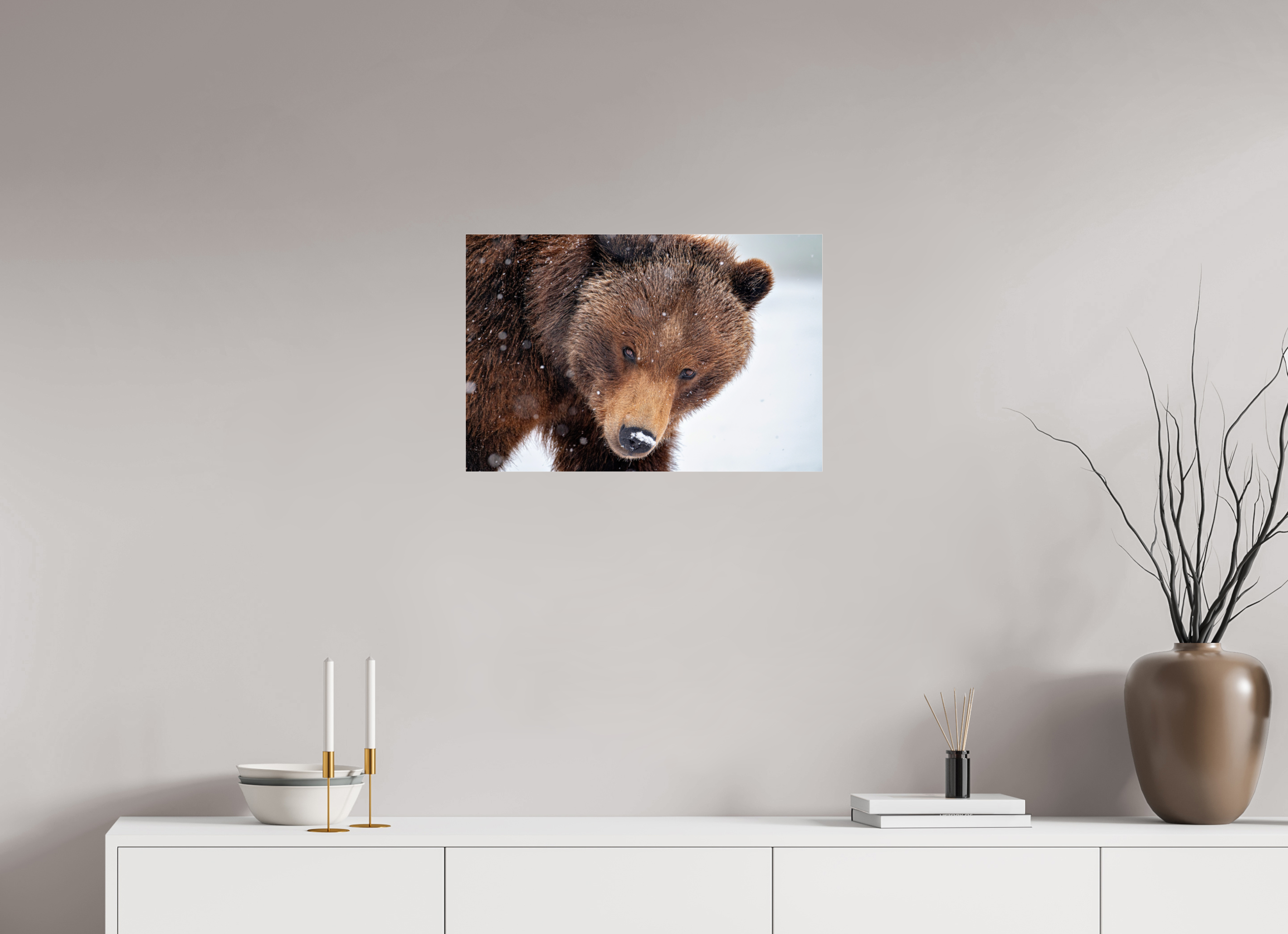 24 x 16″, Photo Print Under Acrylic Glass Bear Stare