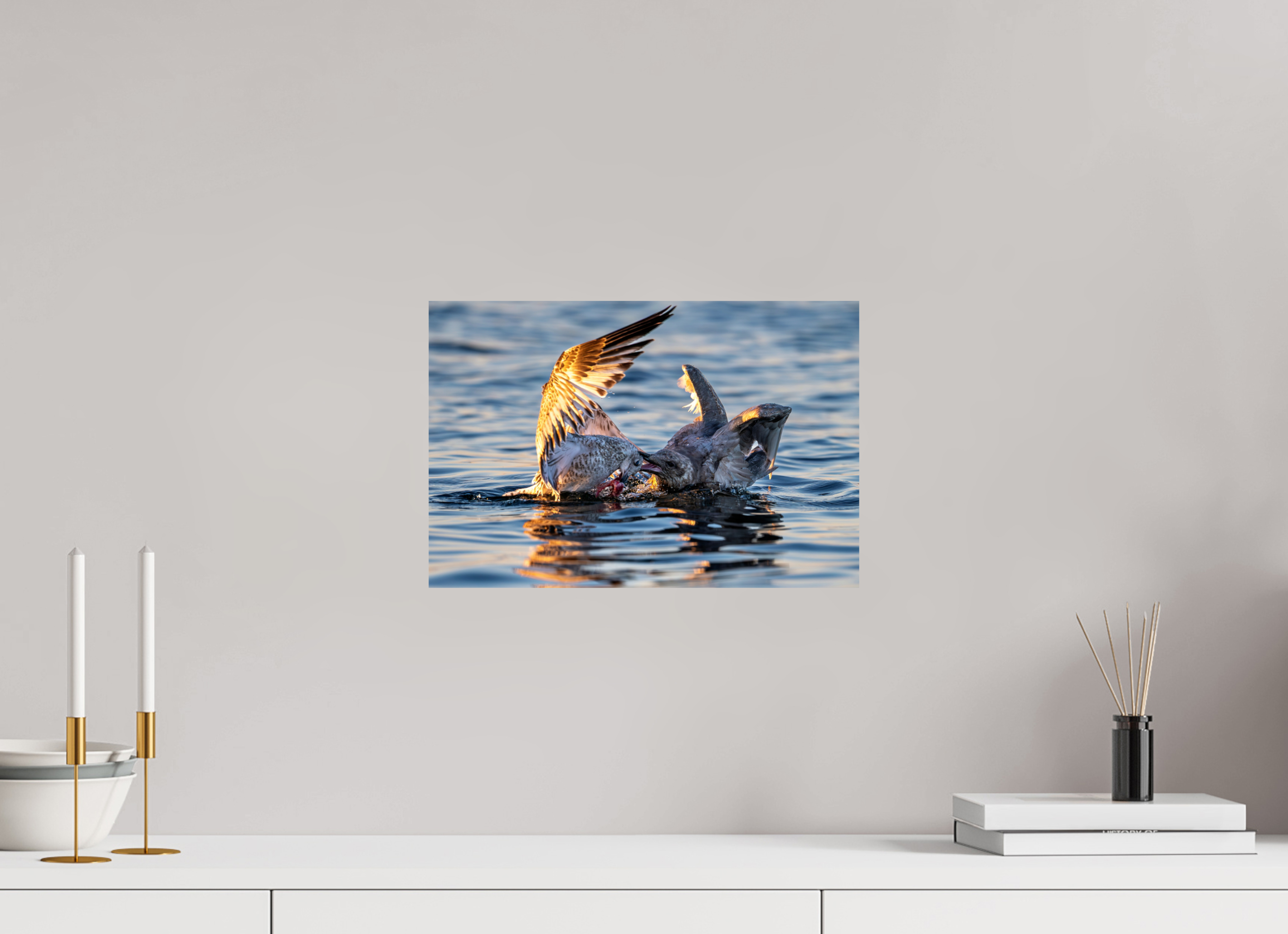 15 x 10″, Photo Print On Fuji Crystal DP II Seabird Battle