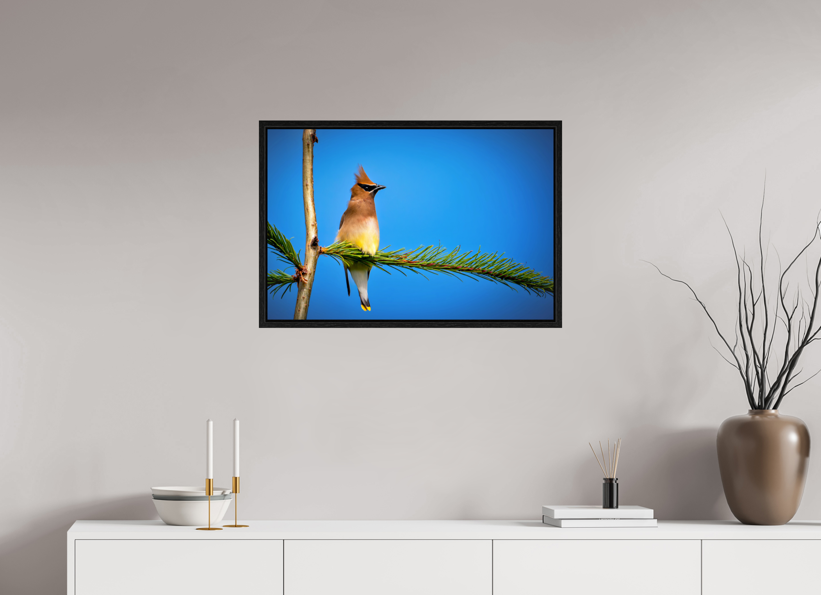 30 x 20″, Floater Frame Waxwing