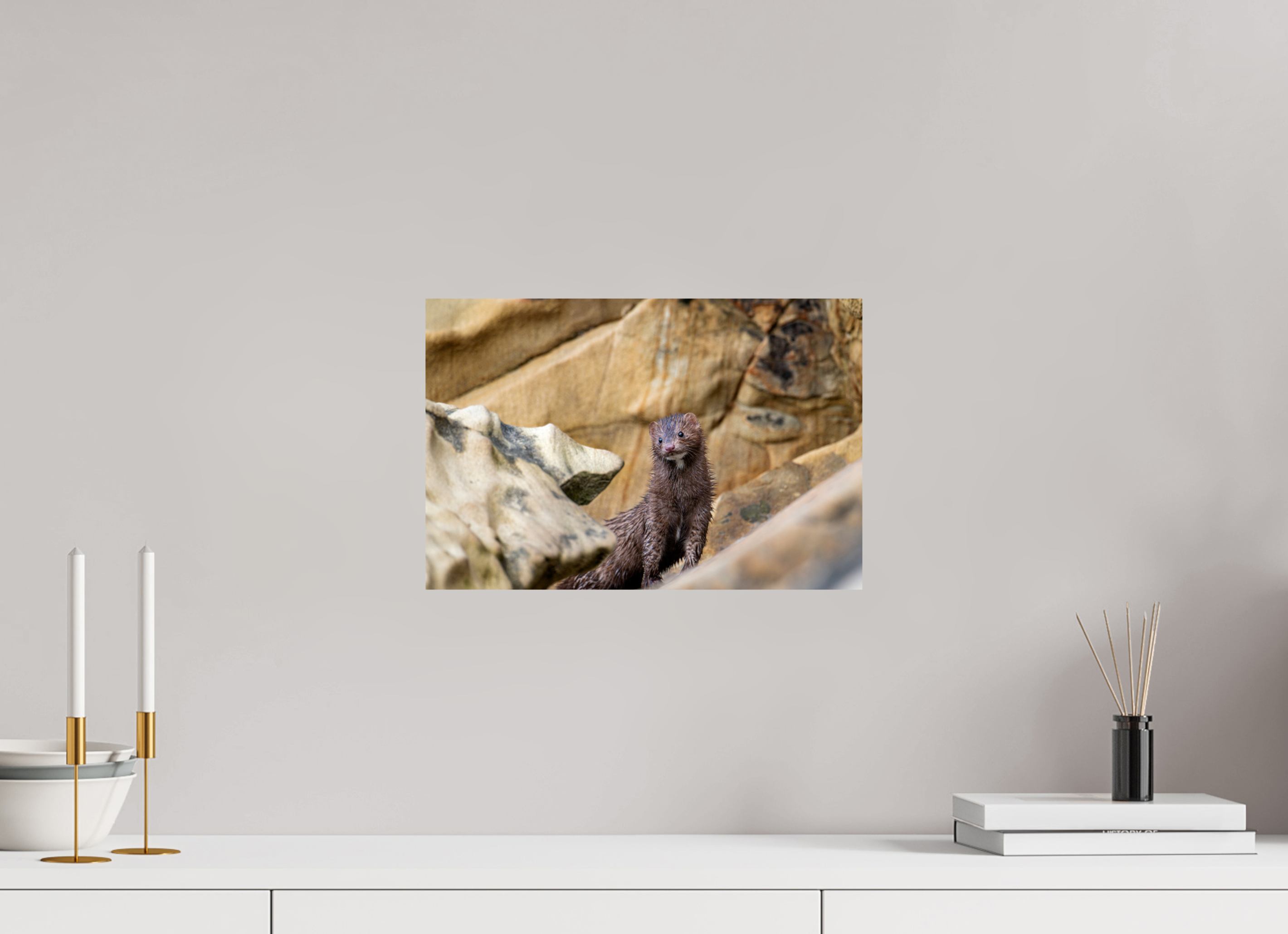 15 x 10″, Photo Print on Aluminum Backing Seaside Mink