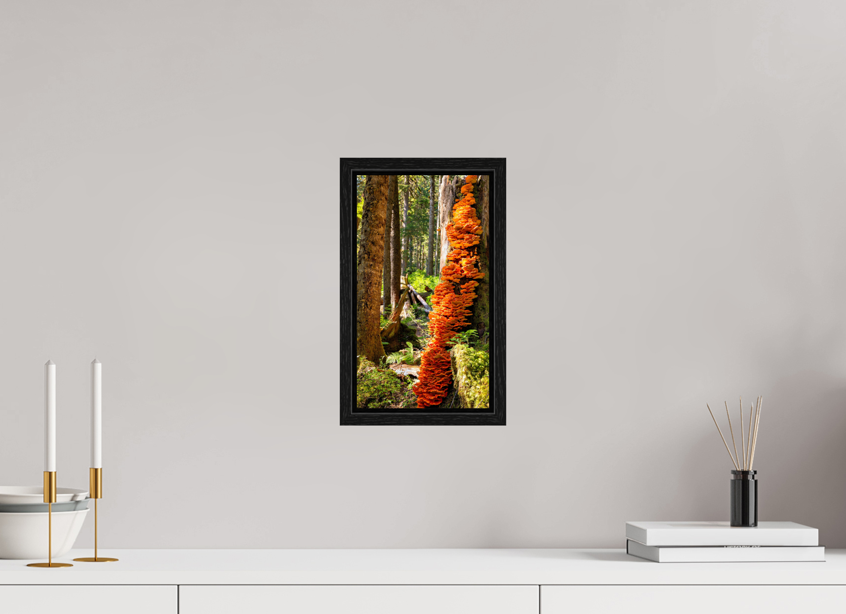 6.8 x 12″, Floater Frame Flaming Stump