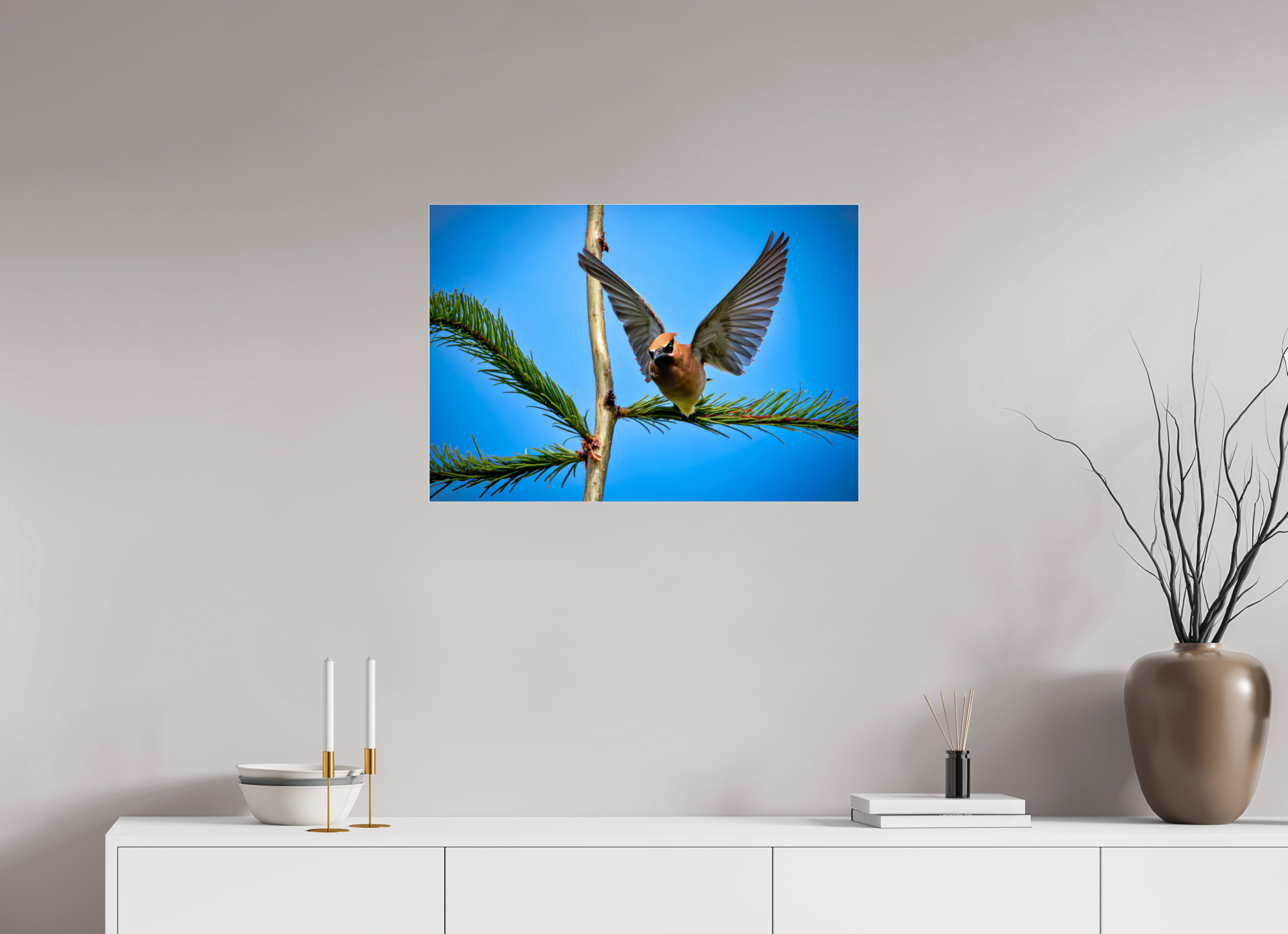 28.9 x 20″, Photo Mounted Under Acrylic Glass Wing of the Waxwing