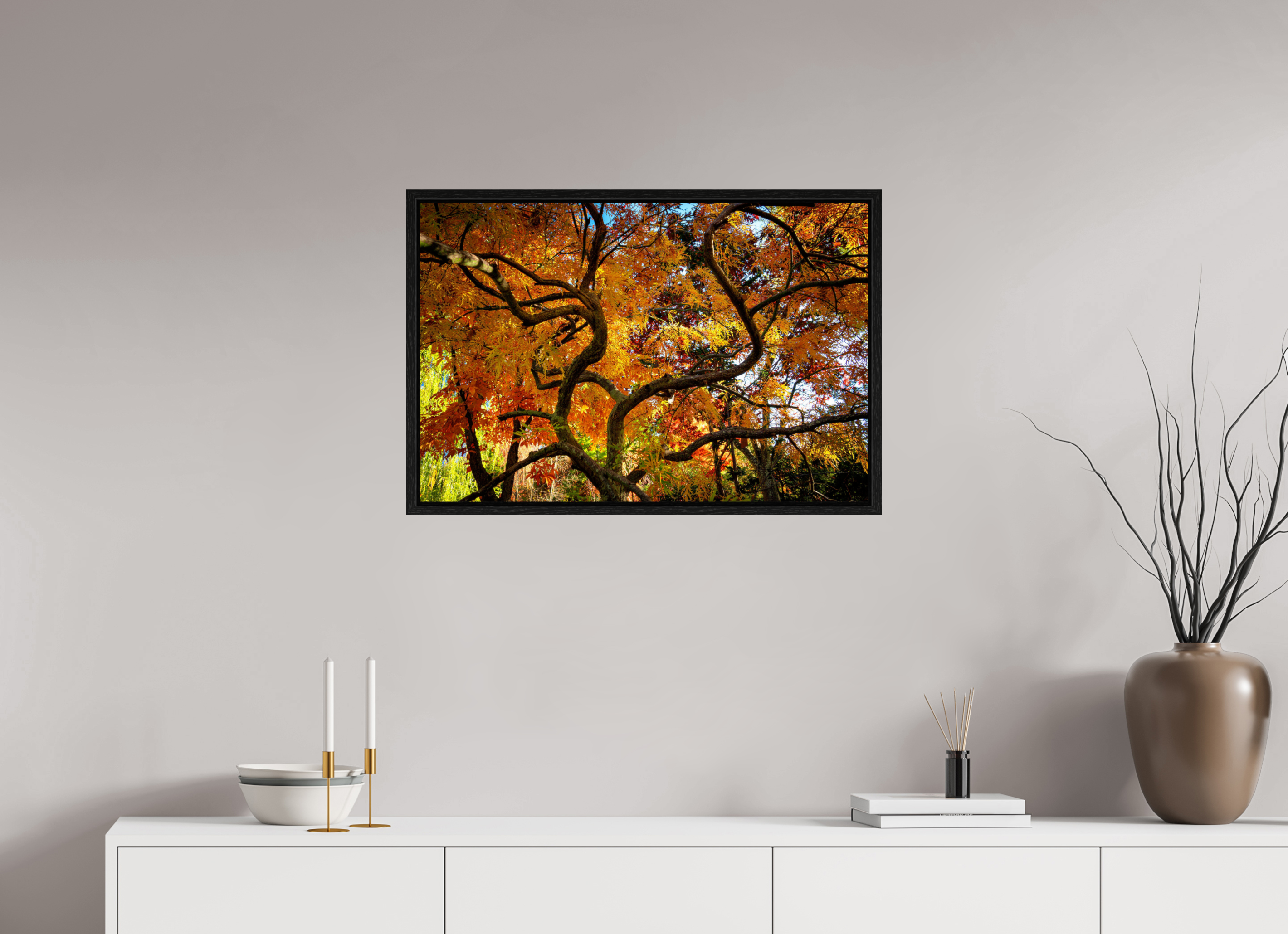30 x 20″, Floater Frame Autumn Maple
