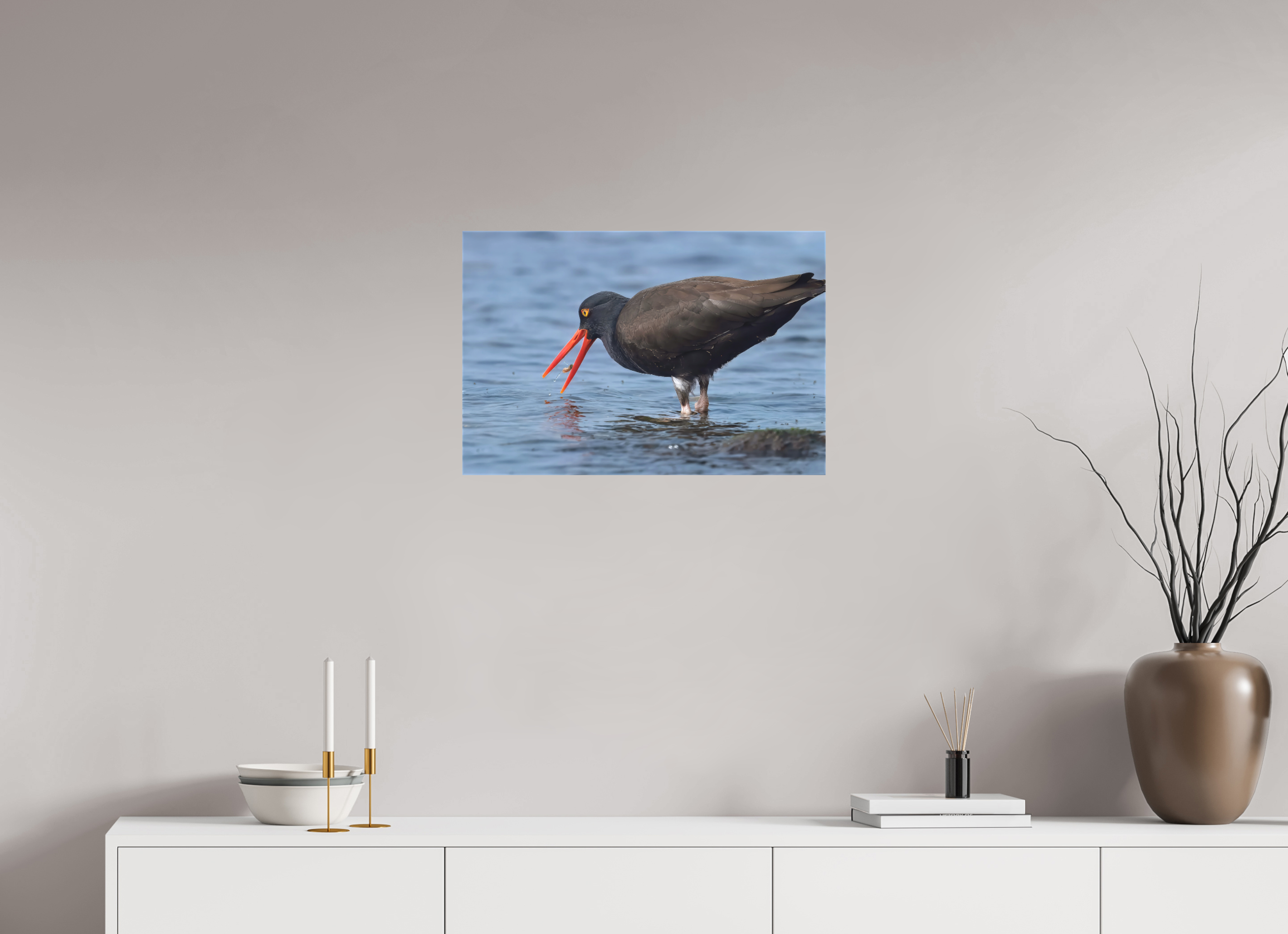 24 x 16″, Matte Canvas with Wrapped Edges Oystercatcher