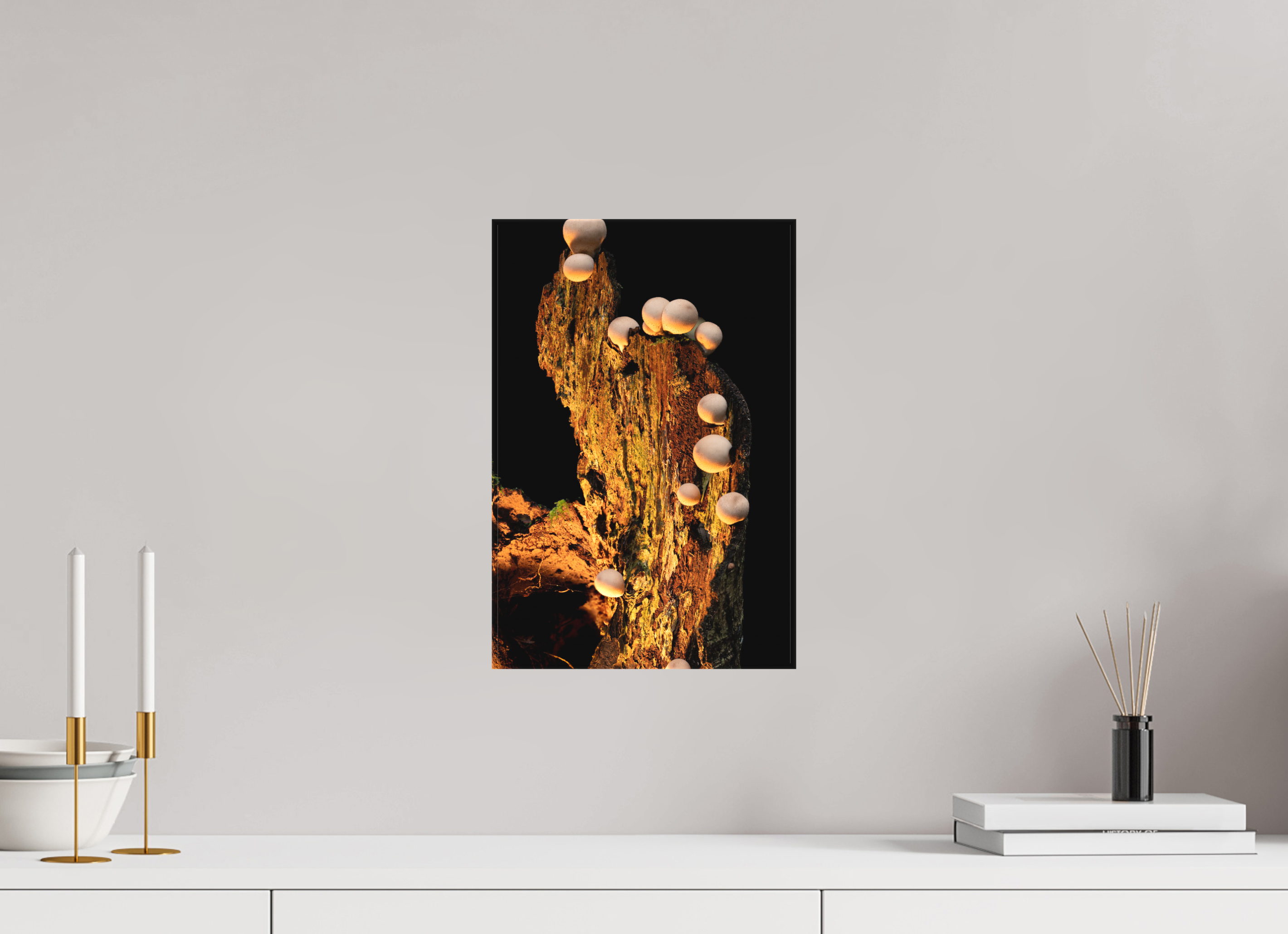 10 x 15″, Matte Canvas with Wrapped Edges Stepping Mushrooms