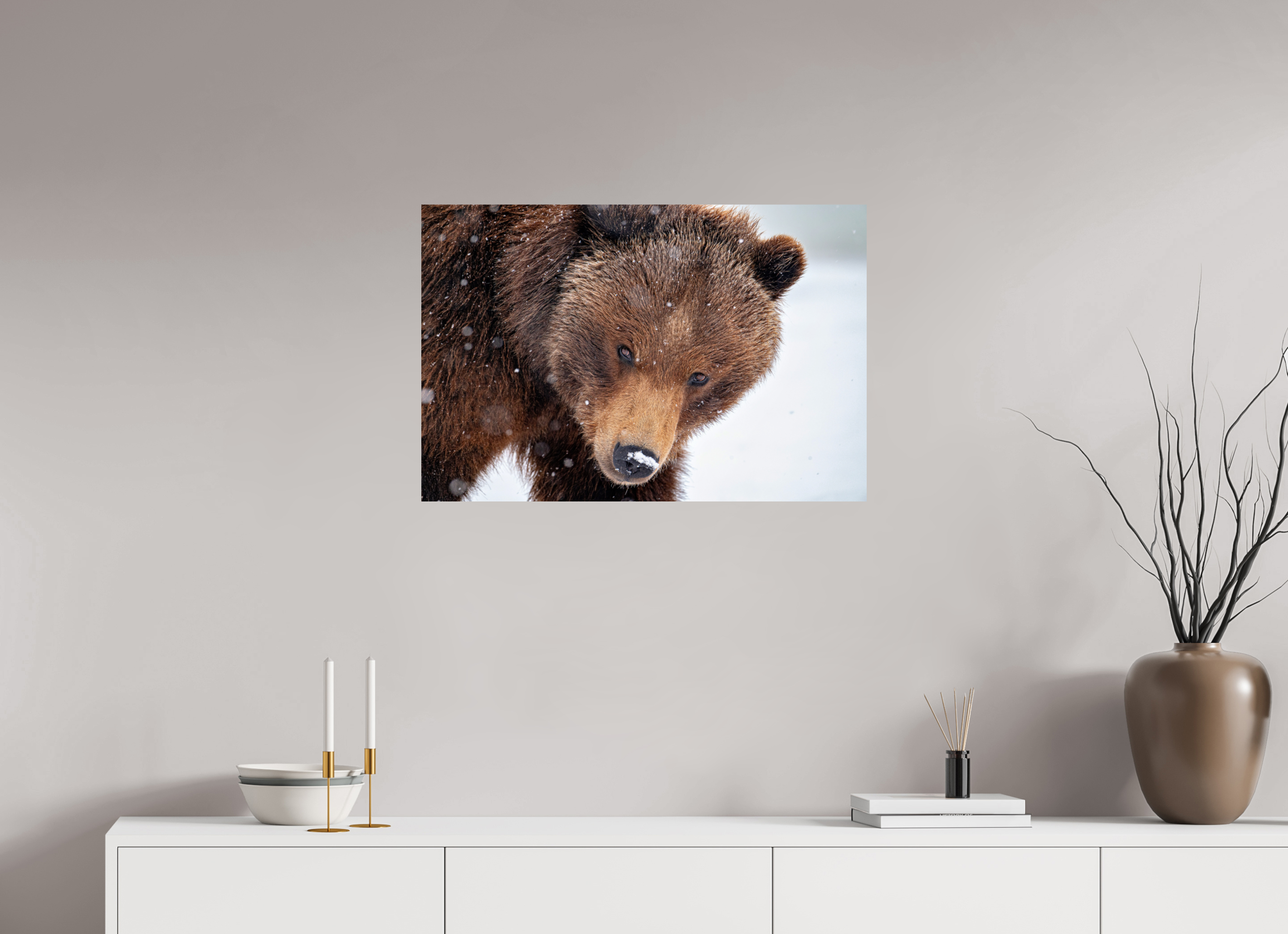 30 x 20″, Photo Print on Aluminum Backing Bear Stare