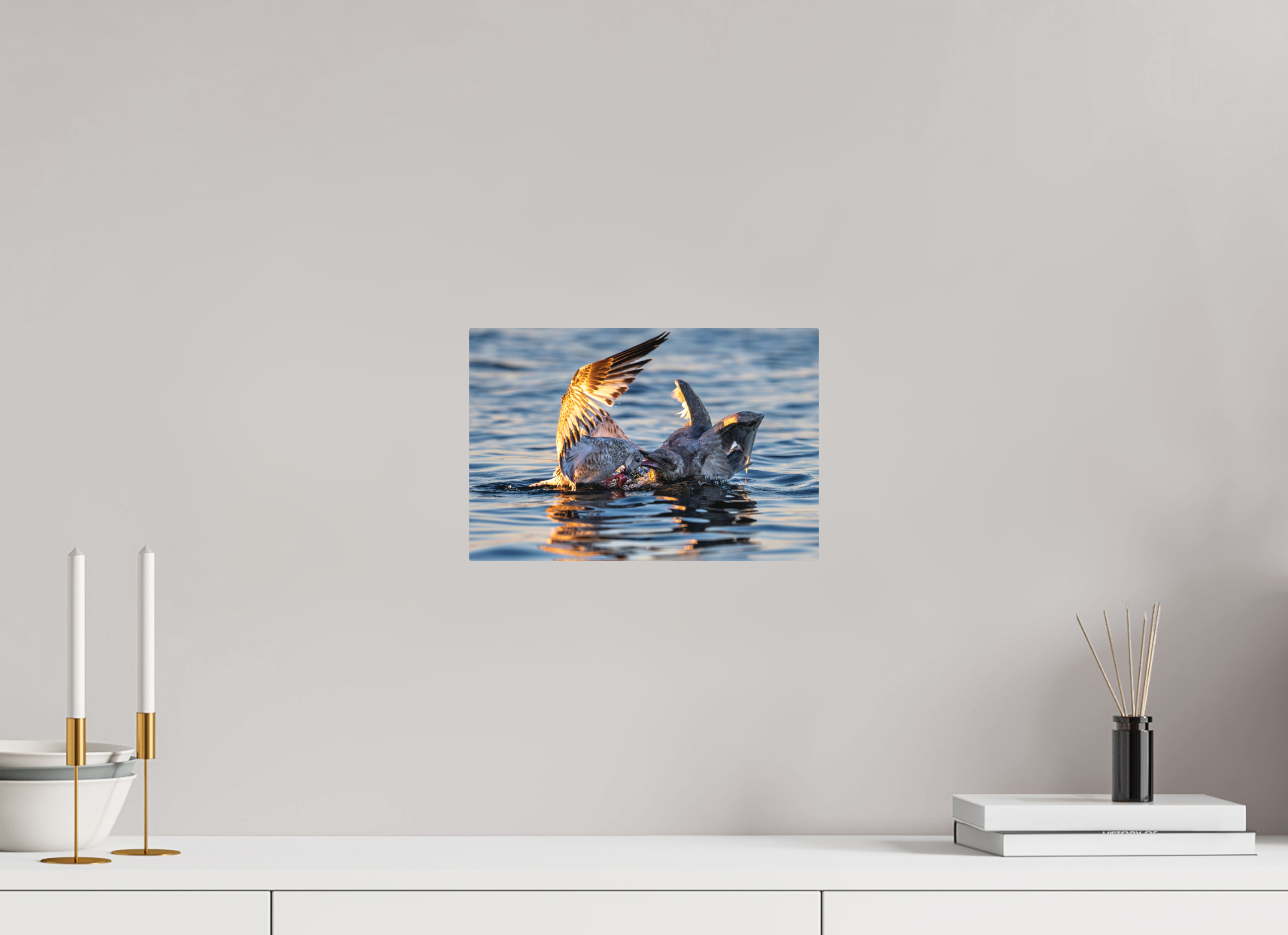 12 x 8″, Direct Print on Aluminum with mounting hardware included. Seabird Battle