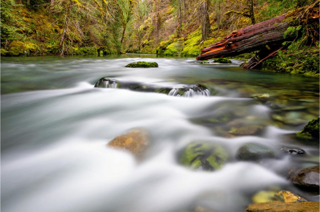 Main image River Rocks