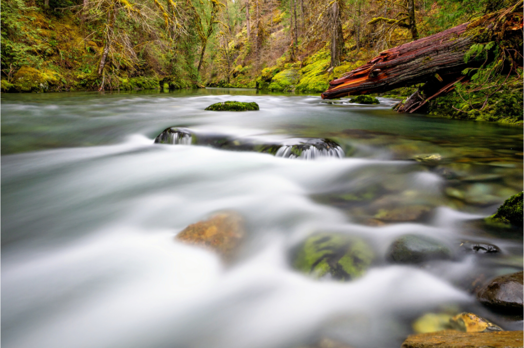 Main image River Rocks