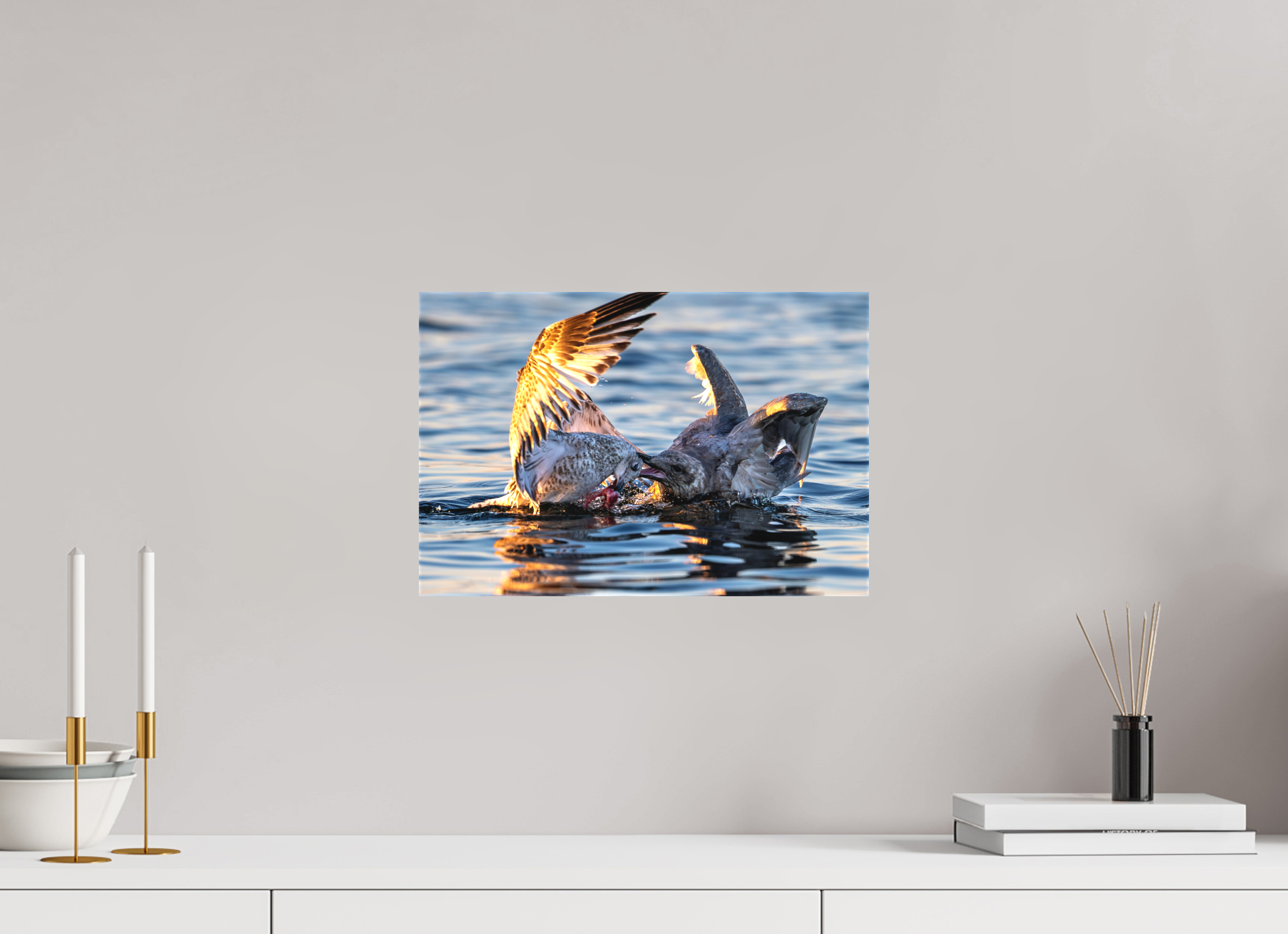15 x 10″, Matte Canvas with Wrapped Edges Seabird Battle