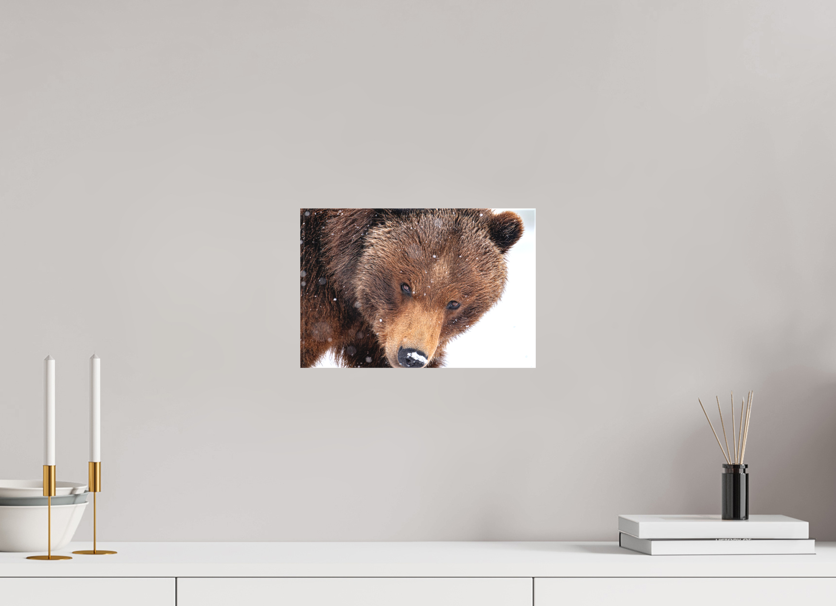 12 x 8″, Matte Canvas with Wrapped Edges Bear Stare