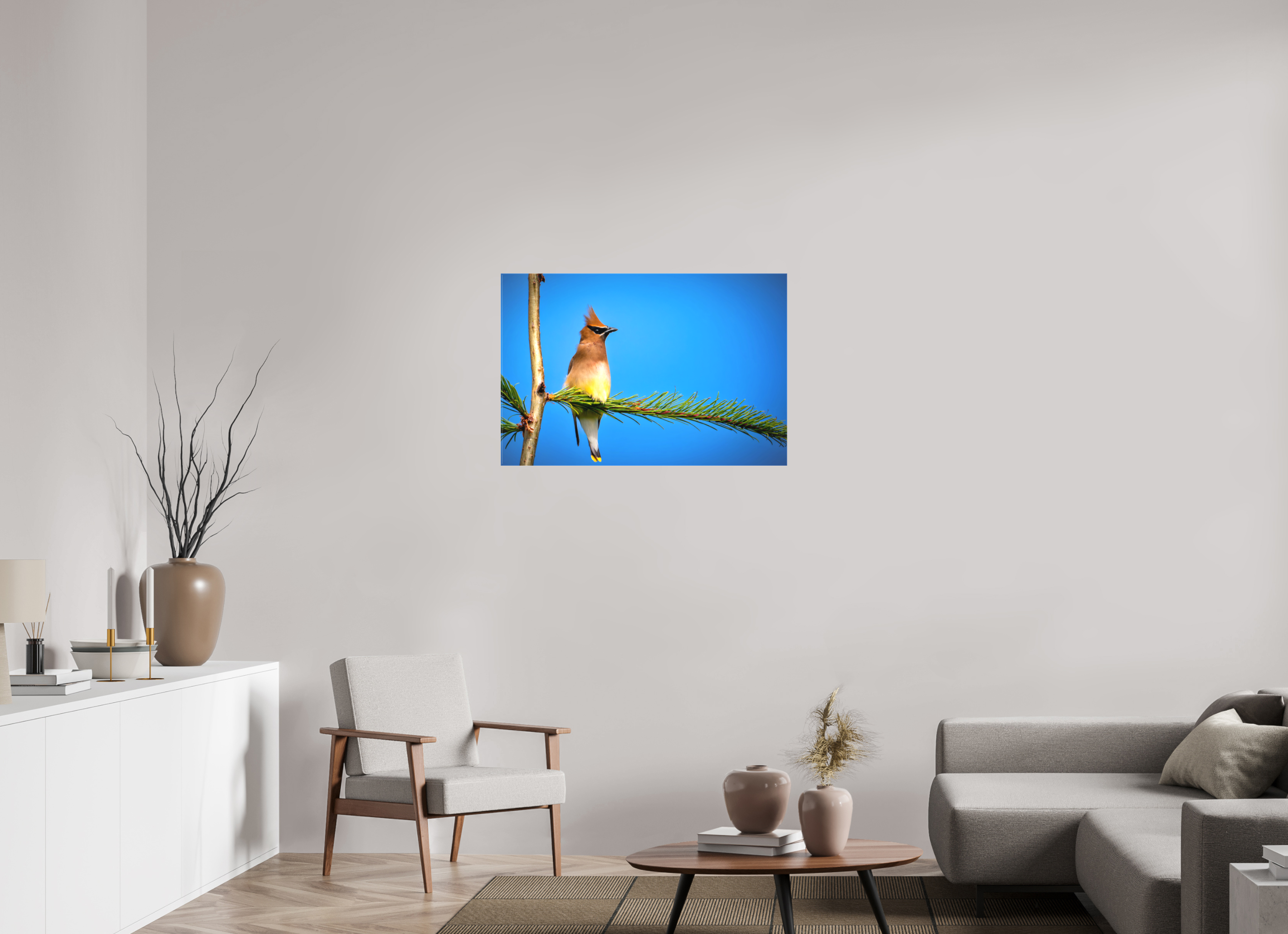 36 x 24″, Matte Canvas with Wrapped Edges Waxwing
