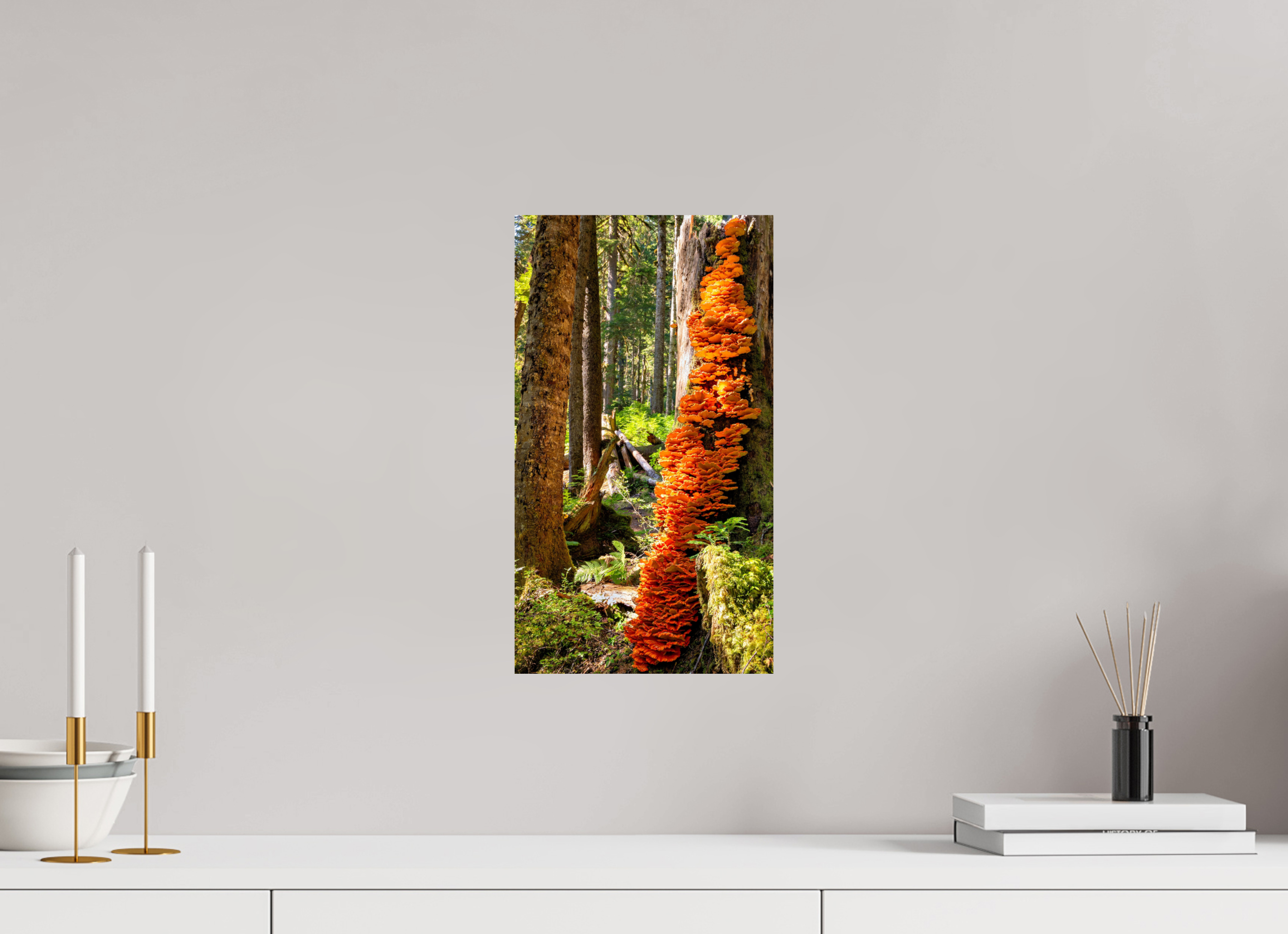 9 x 16″, Photo Print On Fuji Crystal DP II Flaming Stump