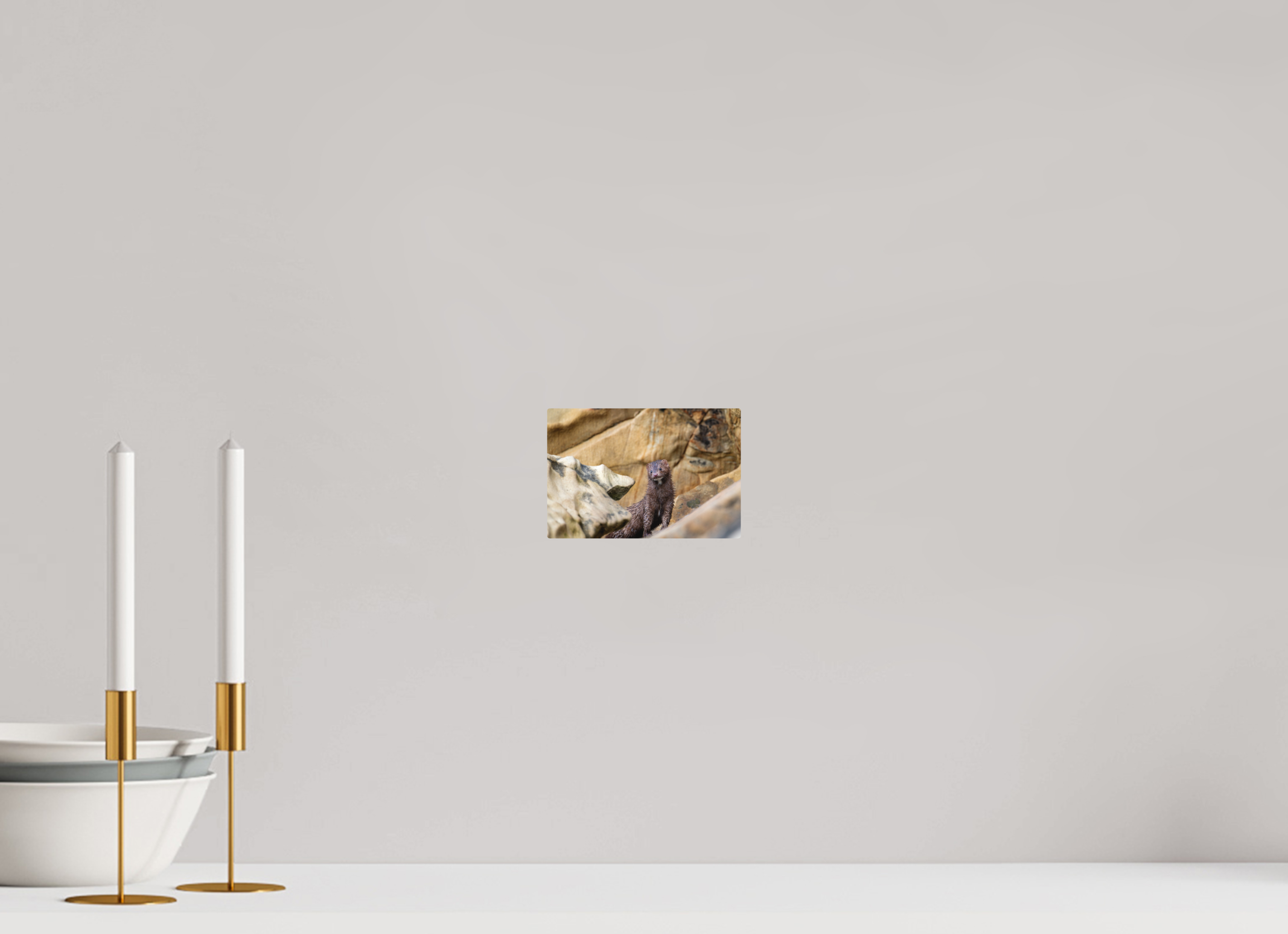 6 x 4″, Direct Print on Aluminum with mounting hardware included. Seaside Mink