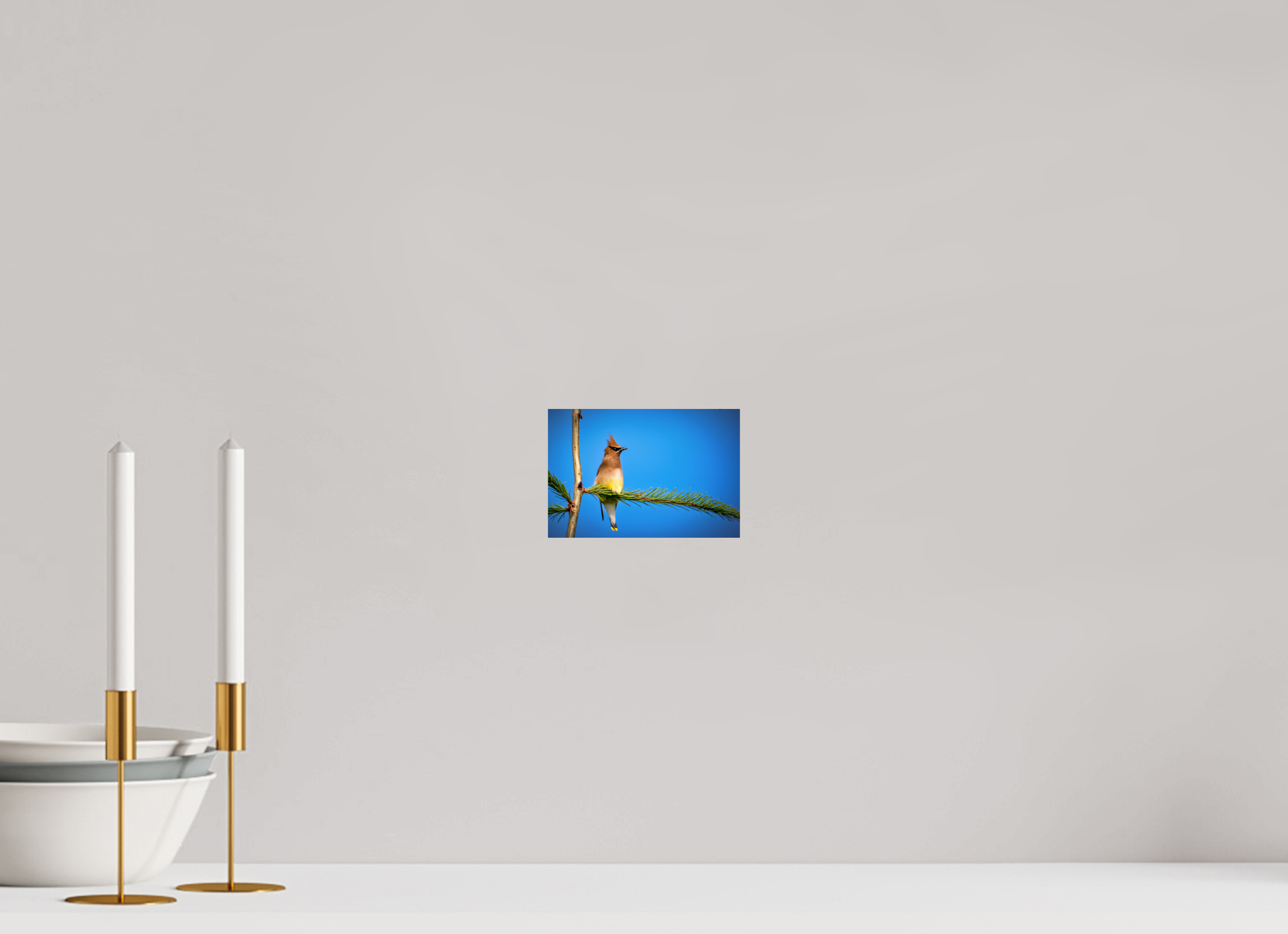 6 x 4″, Photo Print On Fuji Crystal DP II Waxwing