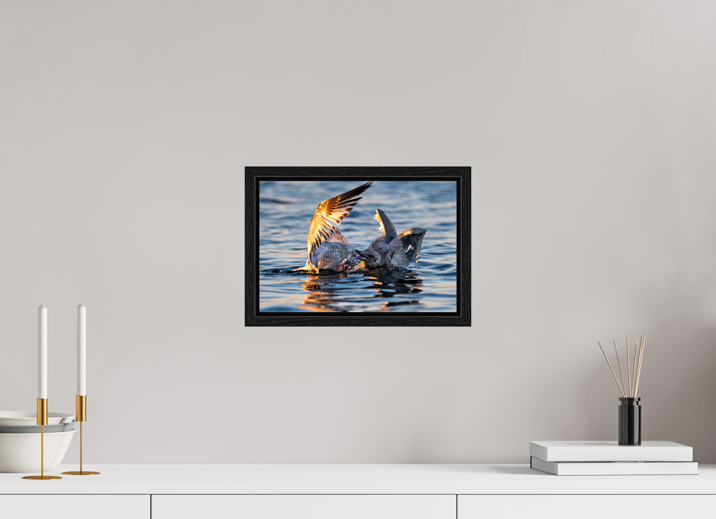 12 x 8″, Floater Frame Seabird Battle