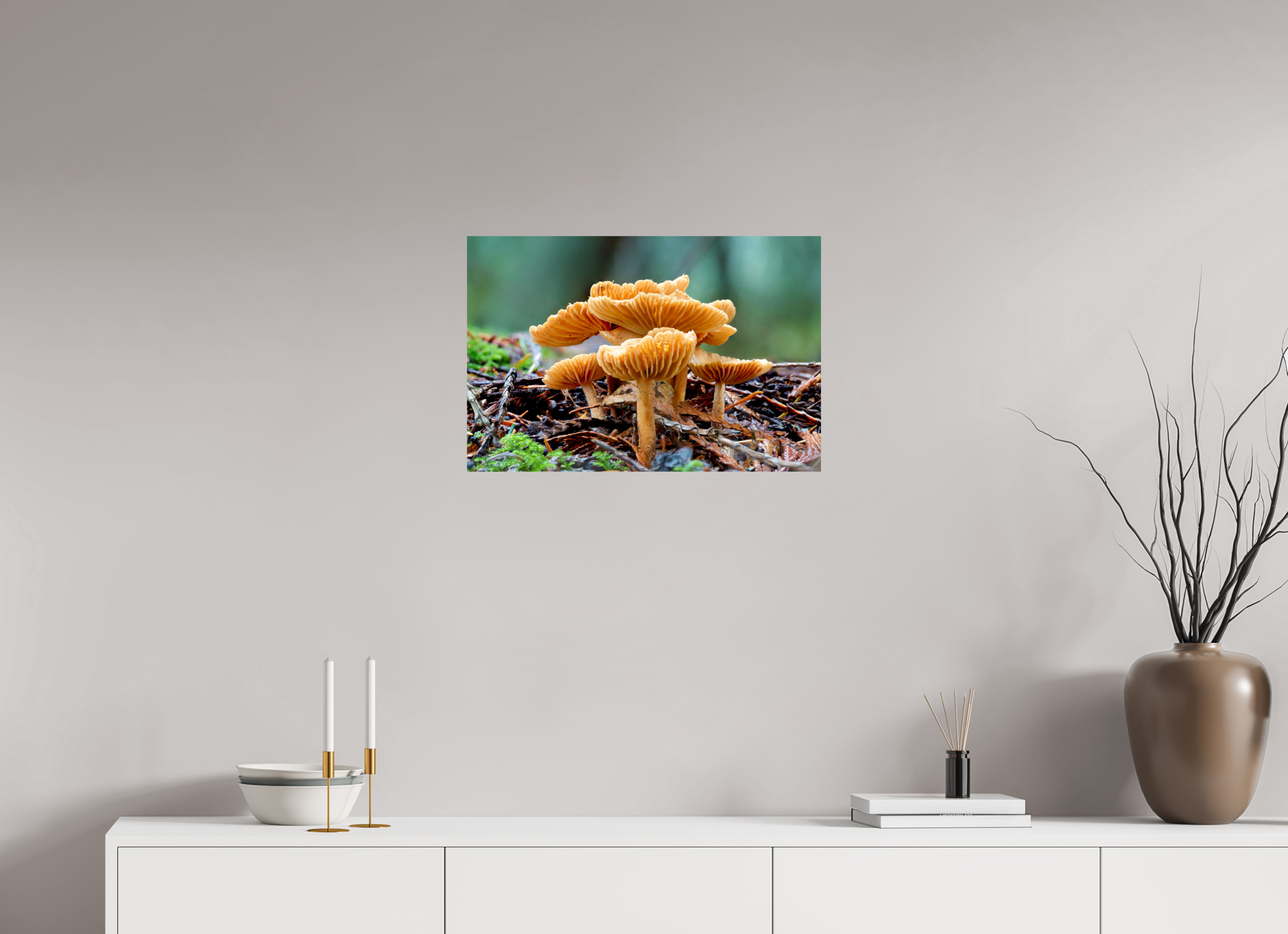 24 x 16″, Photo Print On Fuji Crystal DP II Paper Family of Fungi
