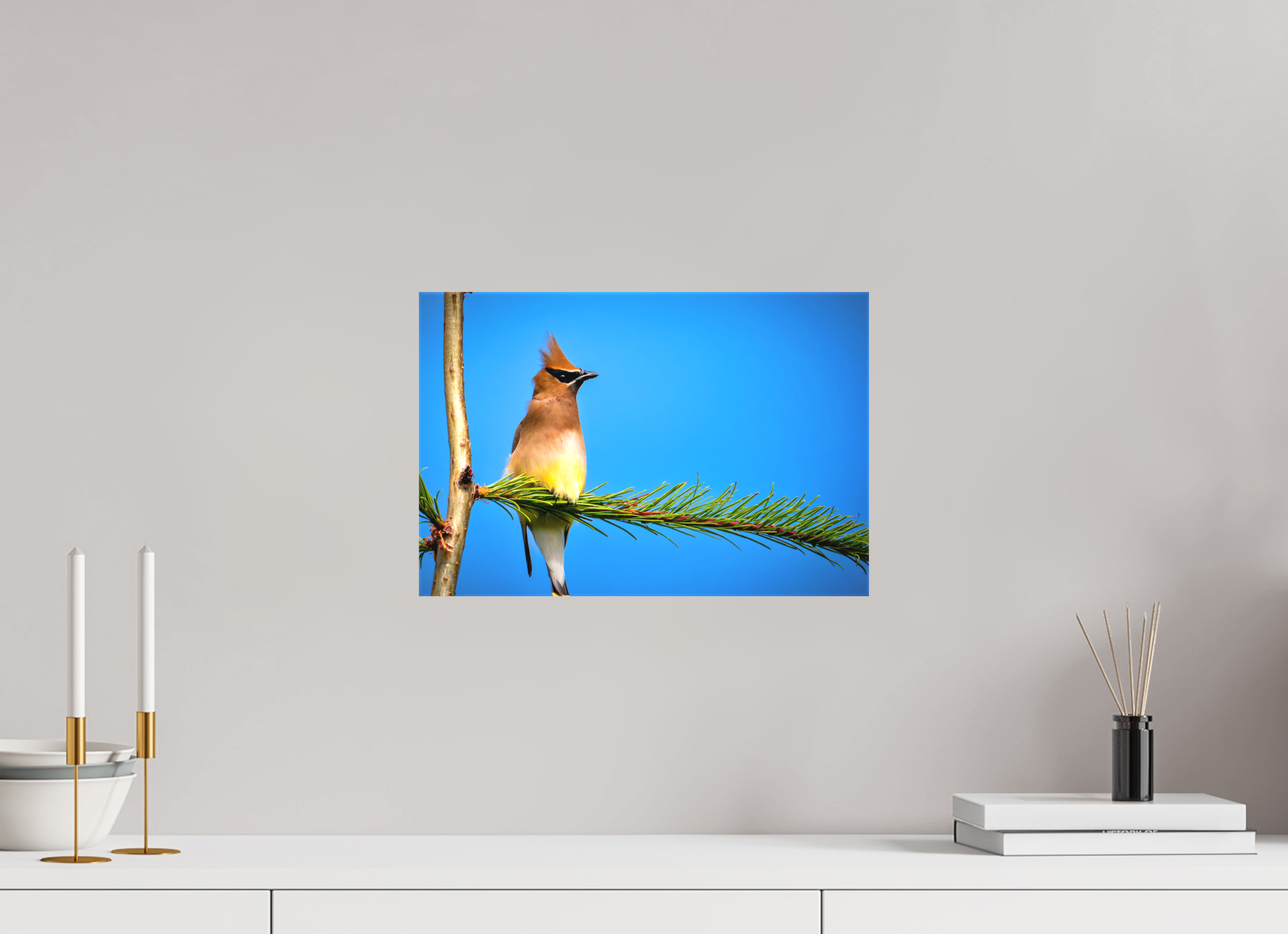 15 x 10″, Matte Canvas with Wrapped Edges Waxwing