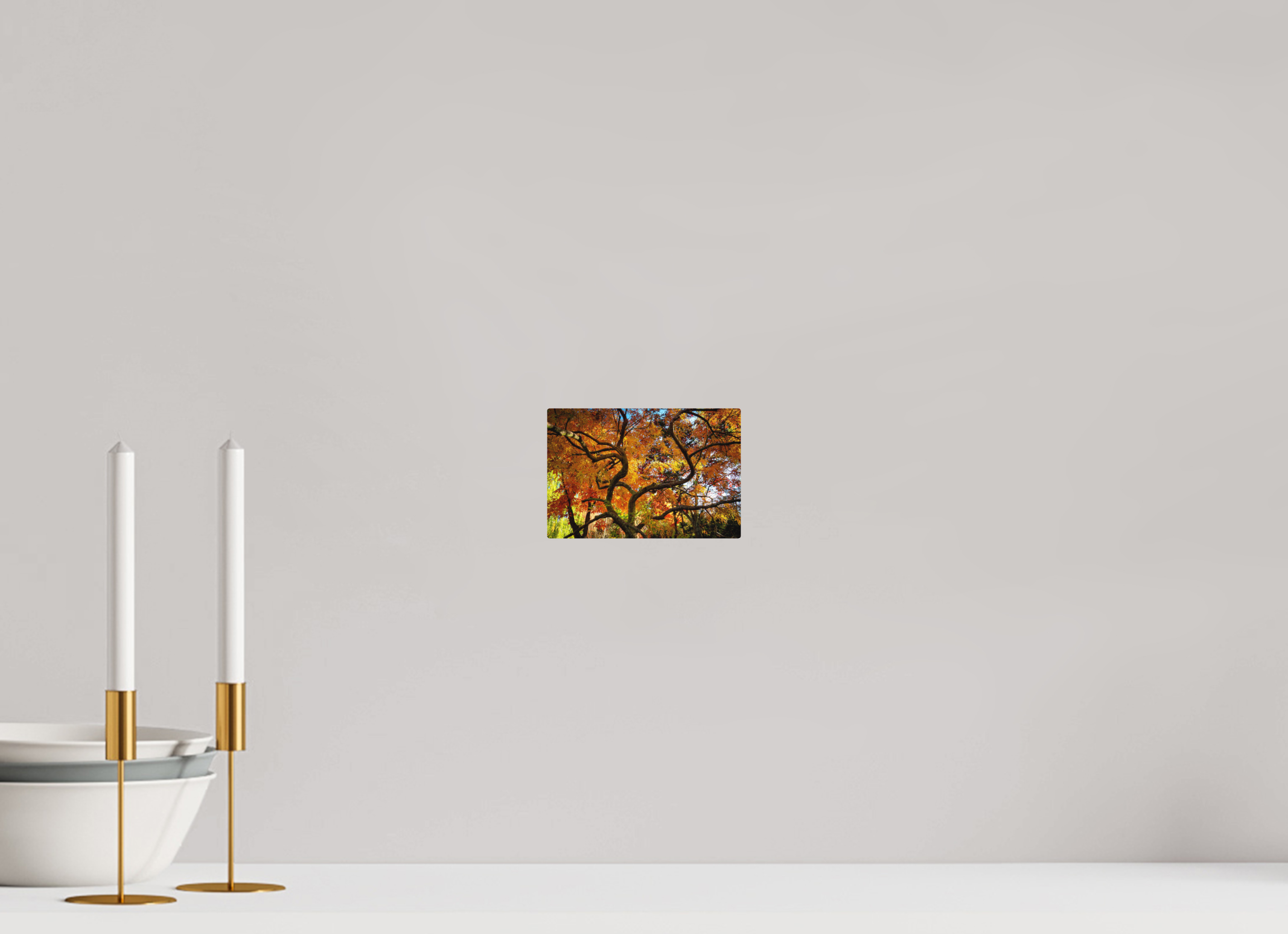 6 x 4″, Direct Print on Aluminum with mounting hardware included. Autumn Maple