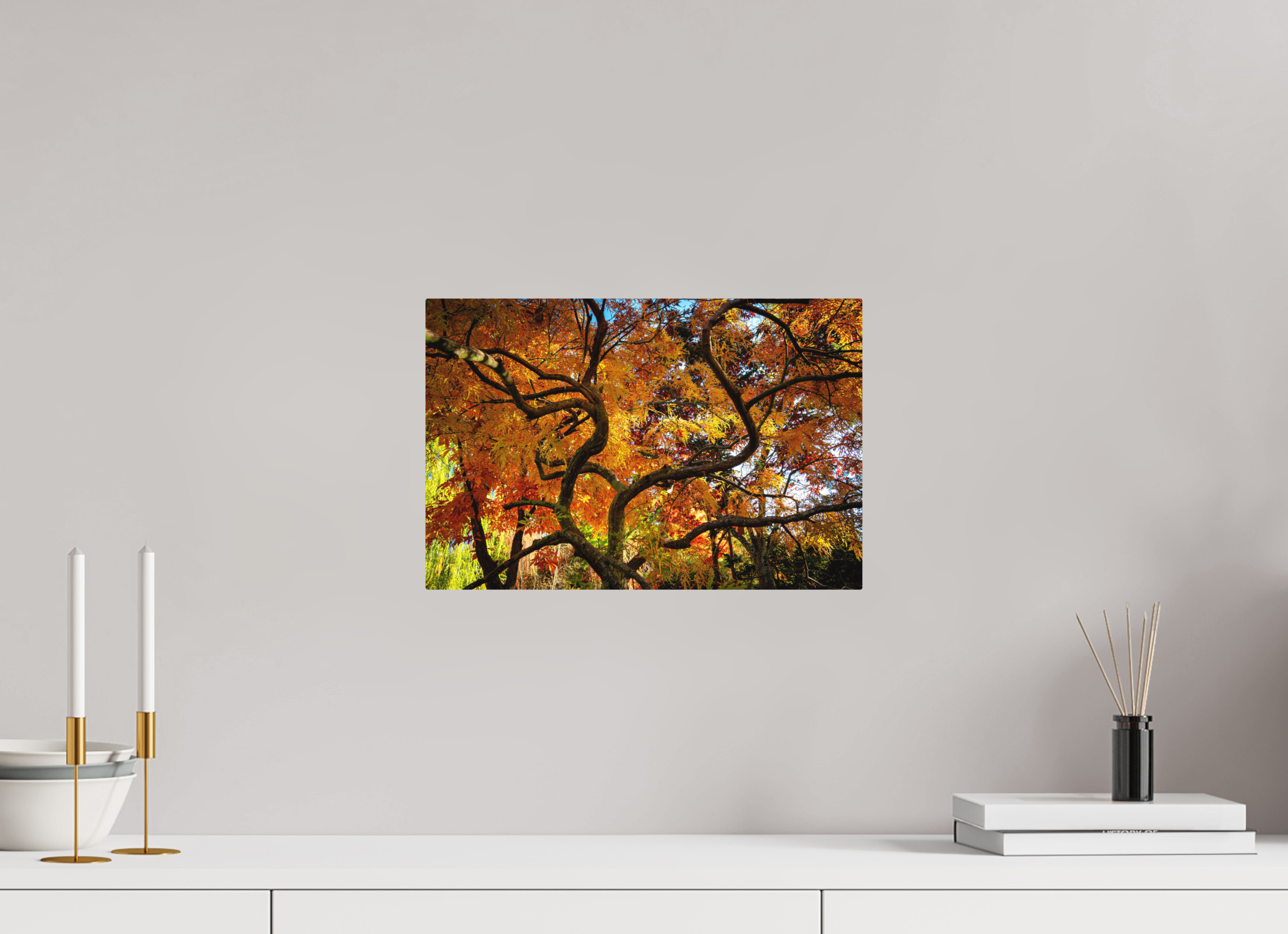 15 x 10″, Direct Print on Aluminum with mounting hardware included. Autumn Maple