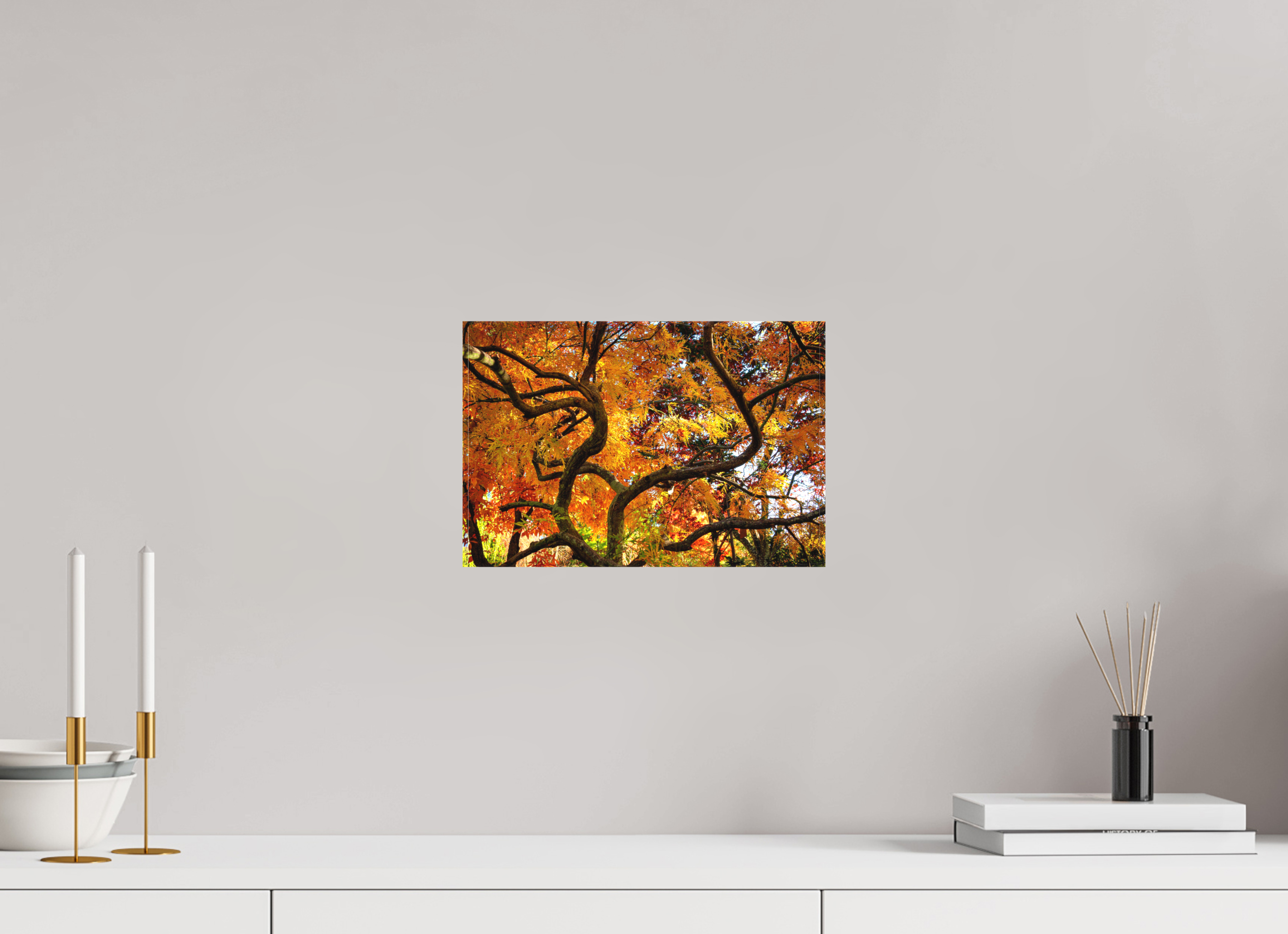 12 x 8″, Matte Canvas with Wrapped Edges Autumn Maple