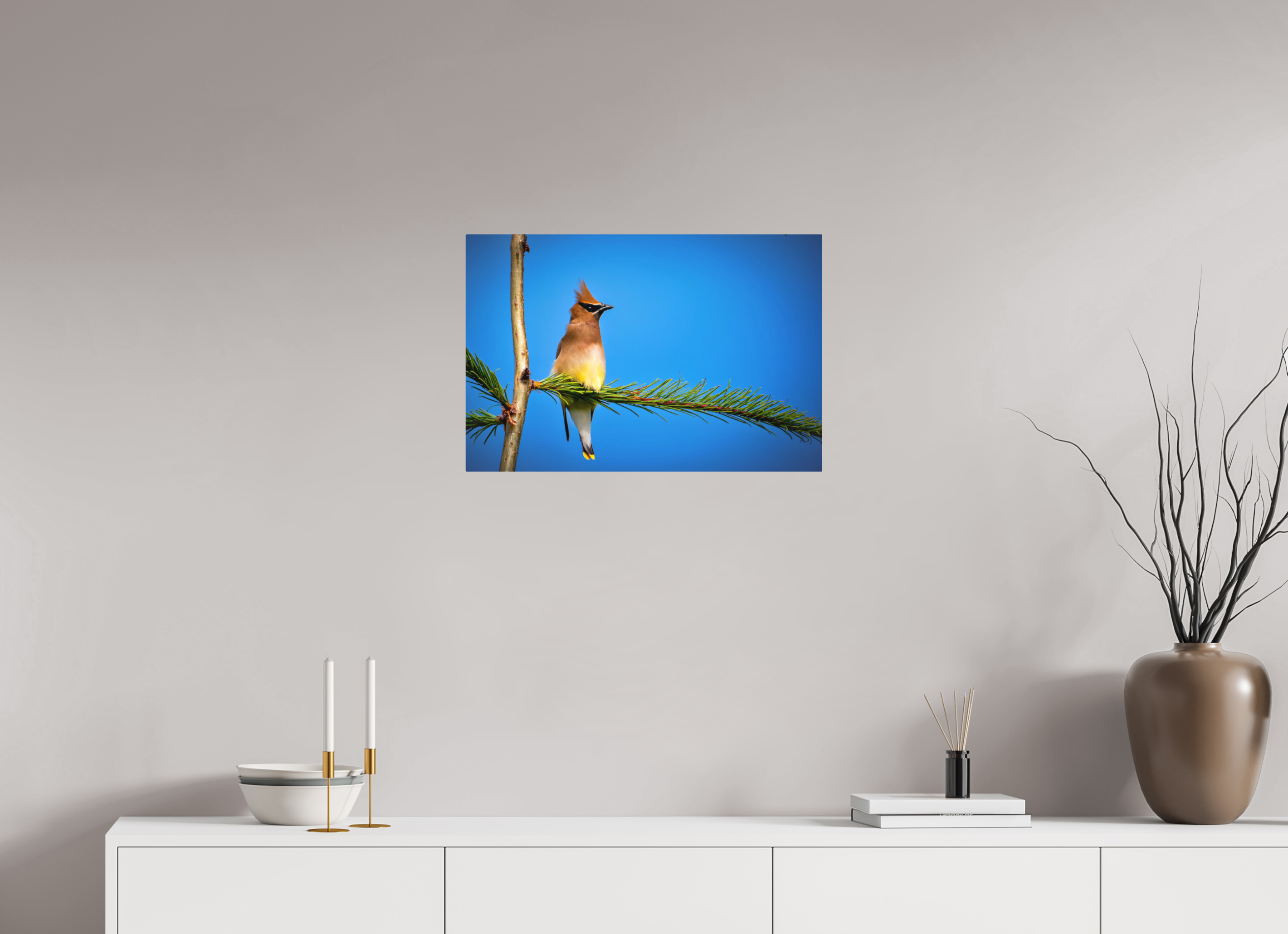 24 x 16″, Direct Print on Aluminum with mounting hardware included. Waxwing