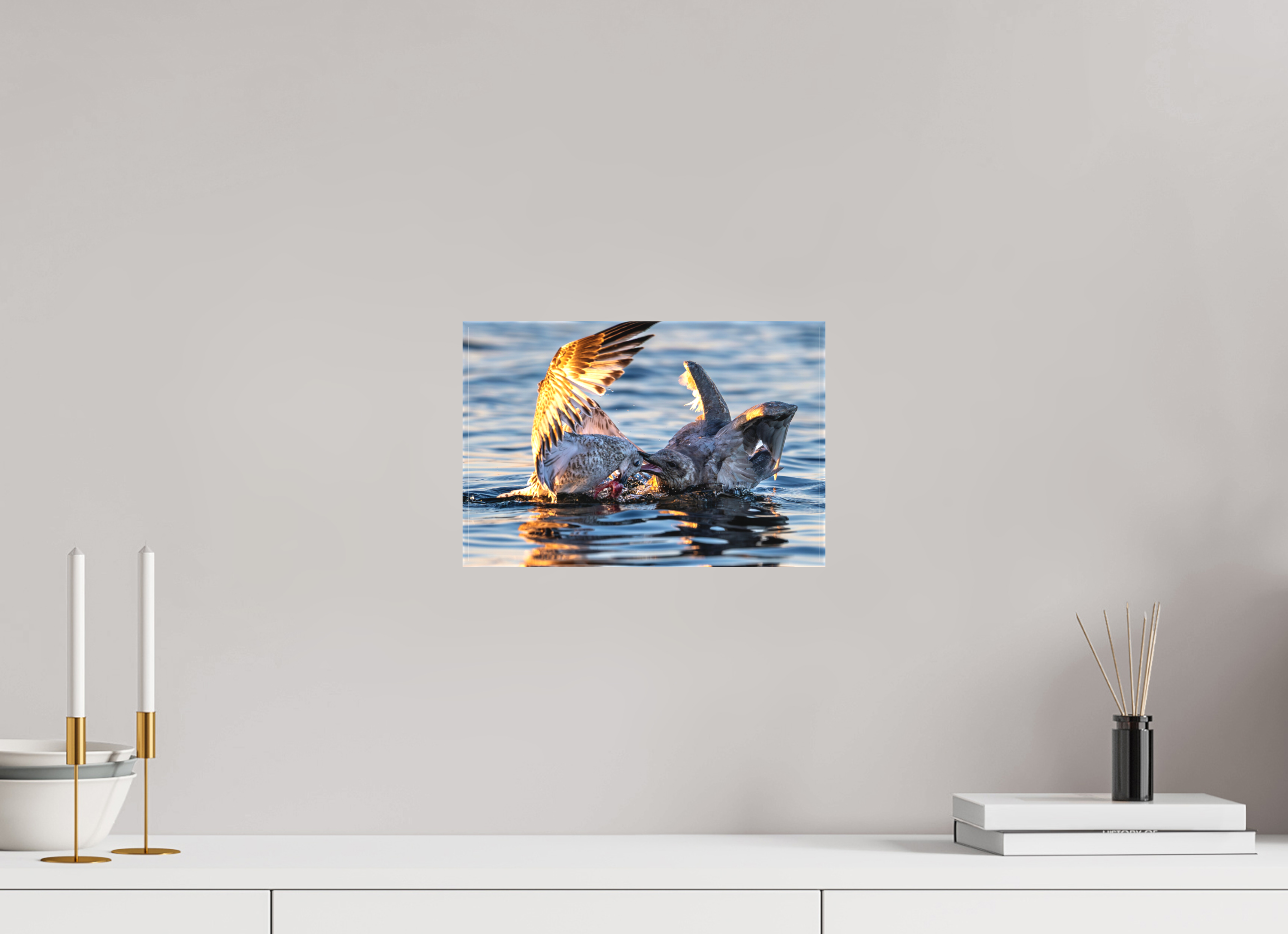 12 x 8″, Matte Canvas with Wrapped Edges Seabird Battle