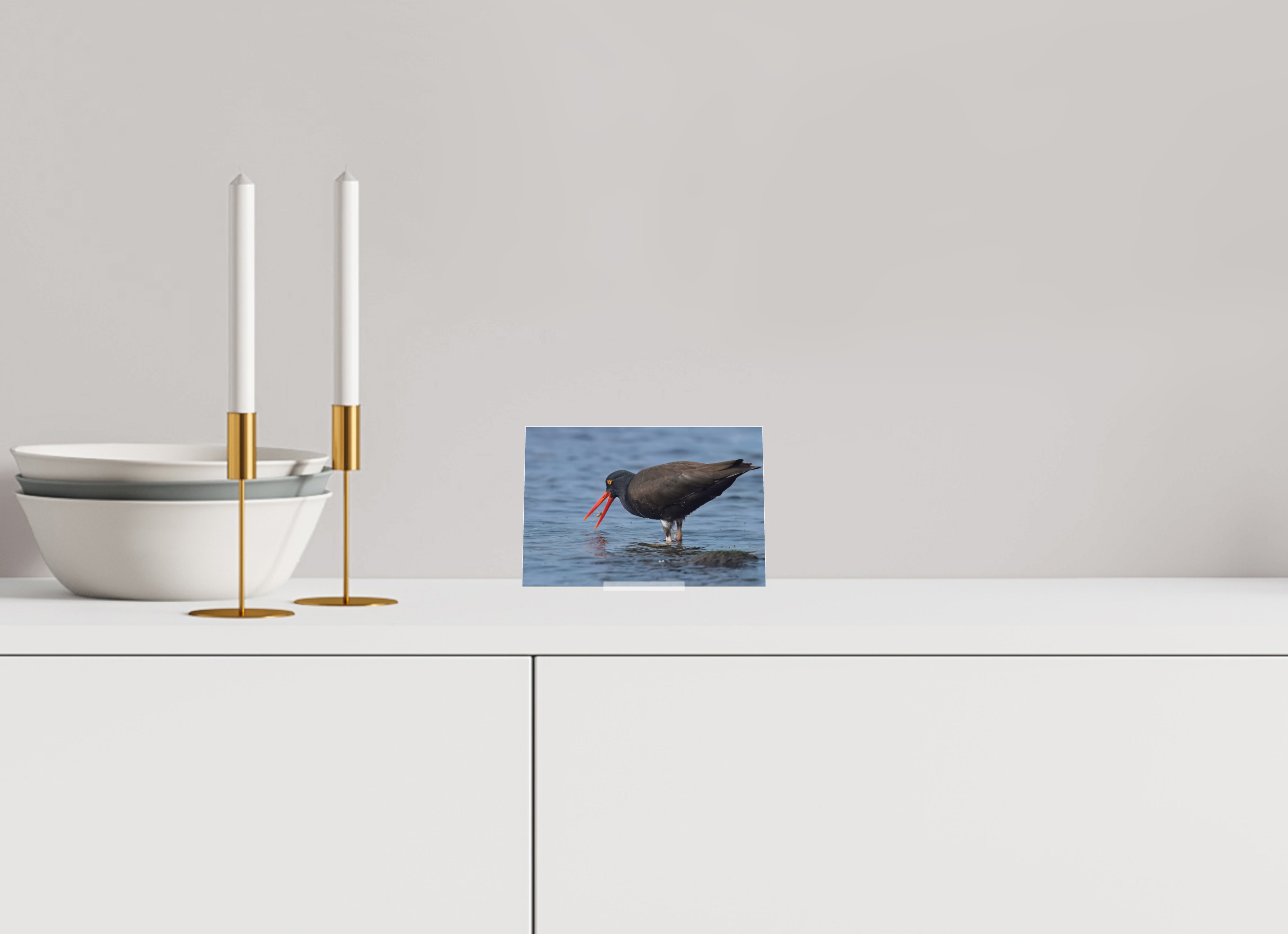 6 x 4″, Acrylic Glass on Stand Oystercatcher