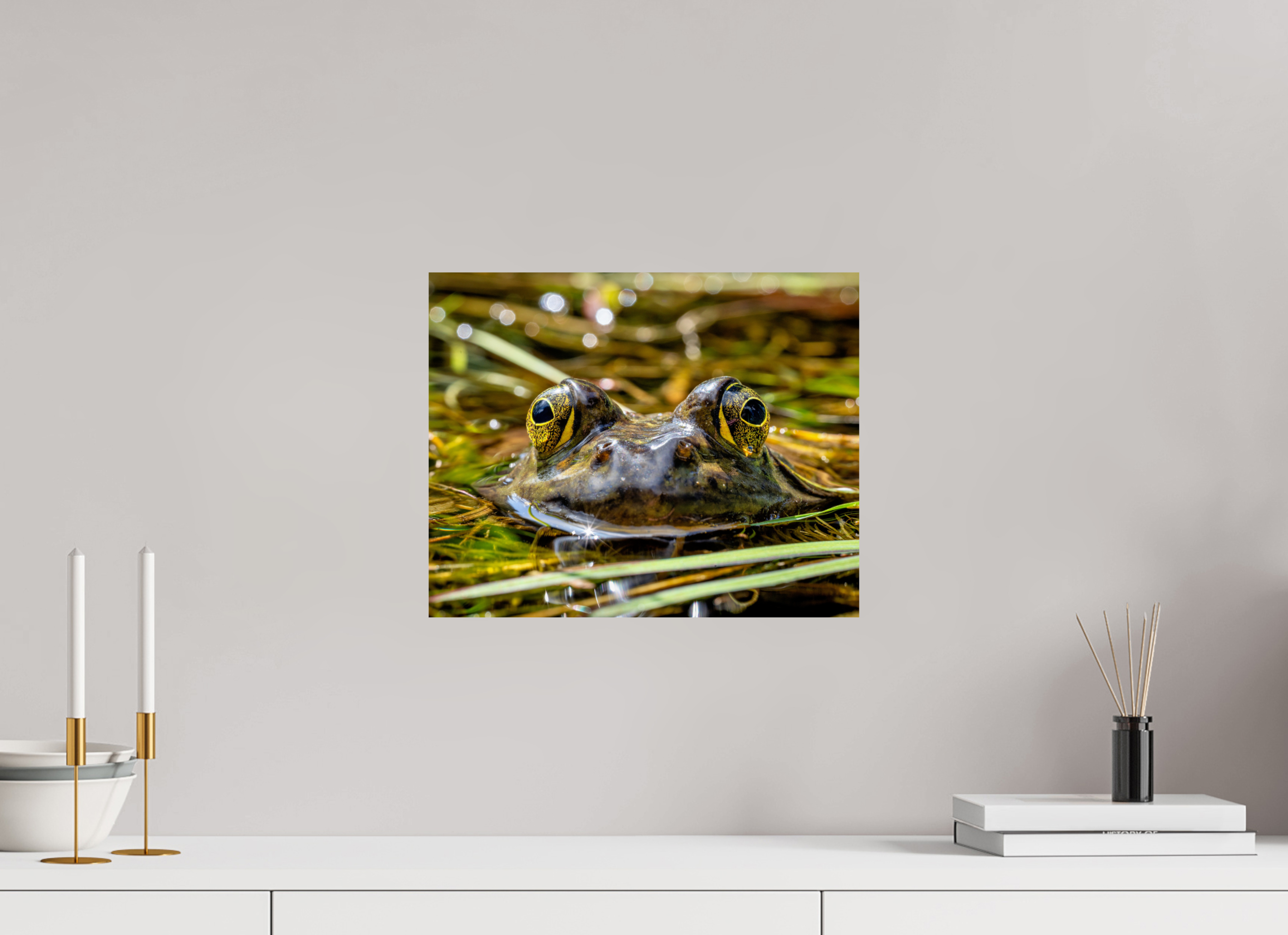 15 x 12″, Photo Print On Fuji Crystal DP II Eyes of Frog