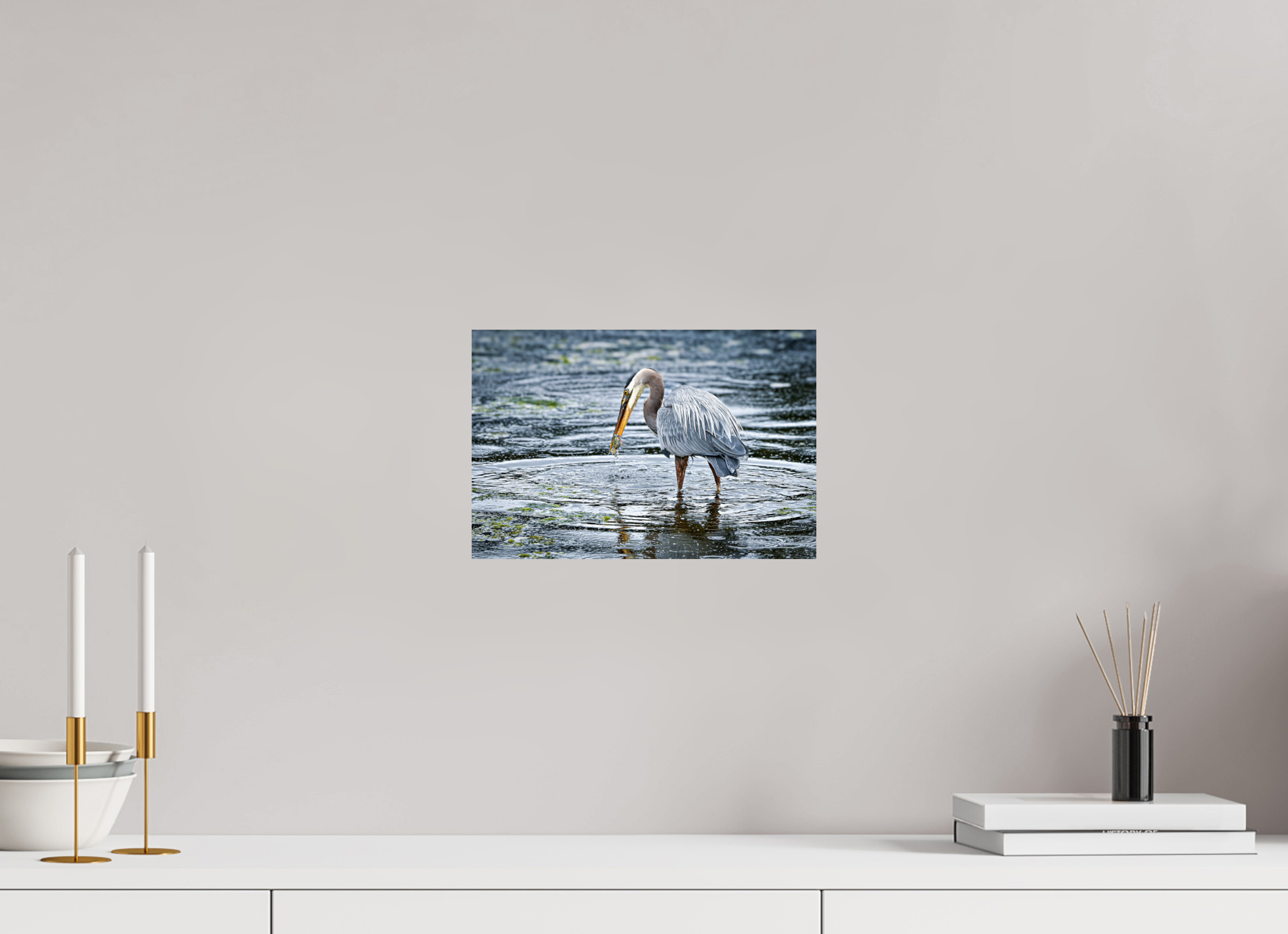 12 x 8″, Photo Print On Fuji Crystal DP II Surprised Dinner