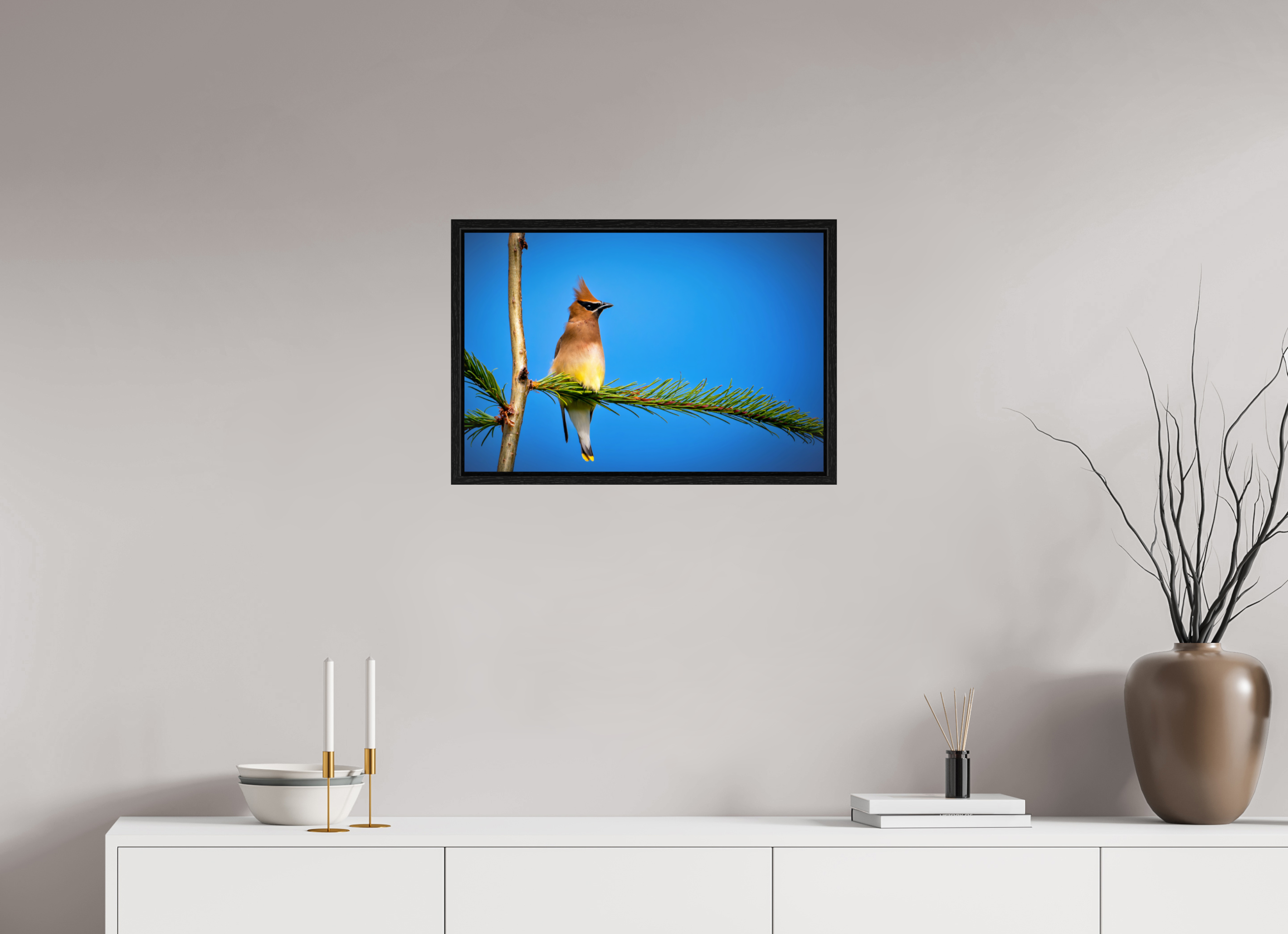 24 x 16″, Floater Frame Waxwing