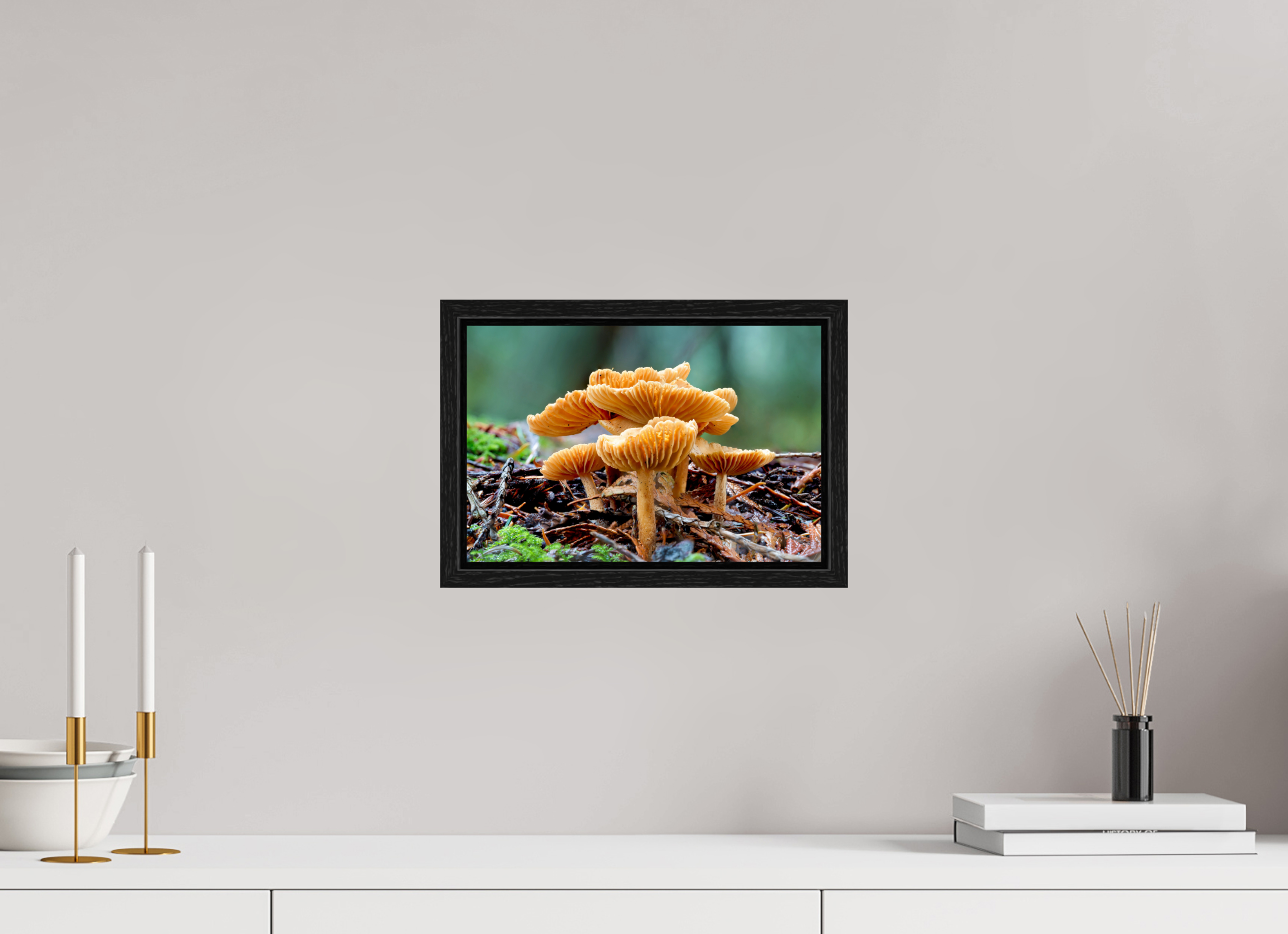 12 x 8″, Floater Frame Family of Fungi