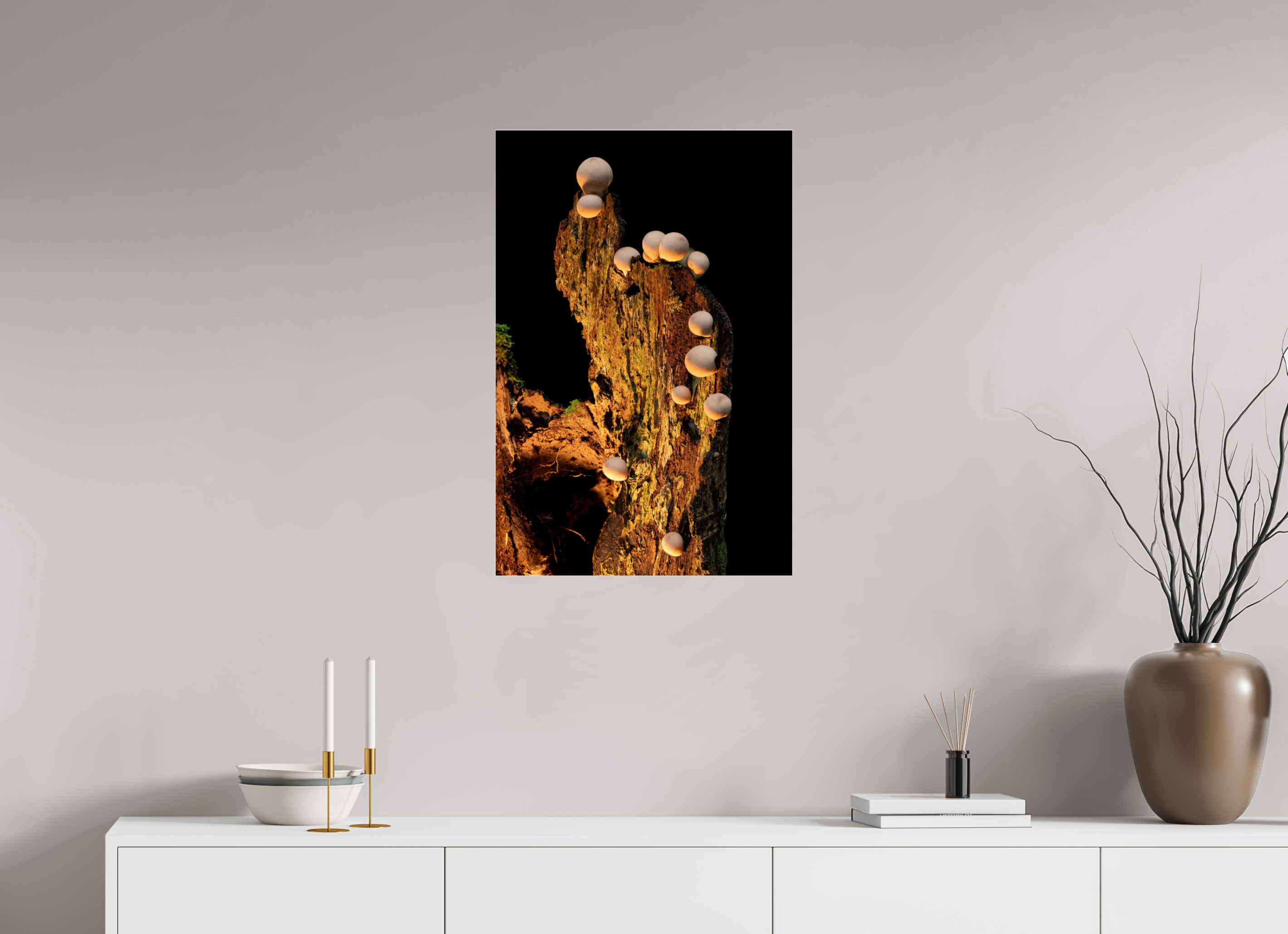 20 x 30″, Photo Mounted Under Acrylic Glass Stepping Mushrooms