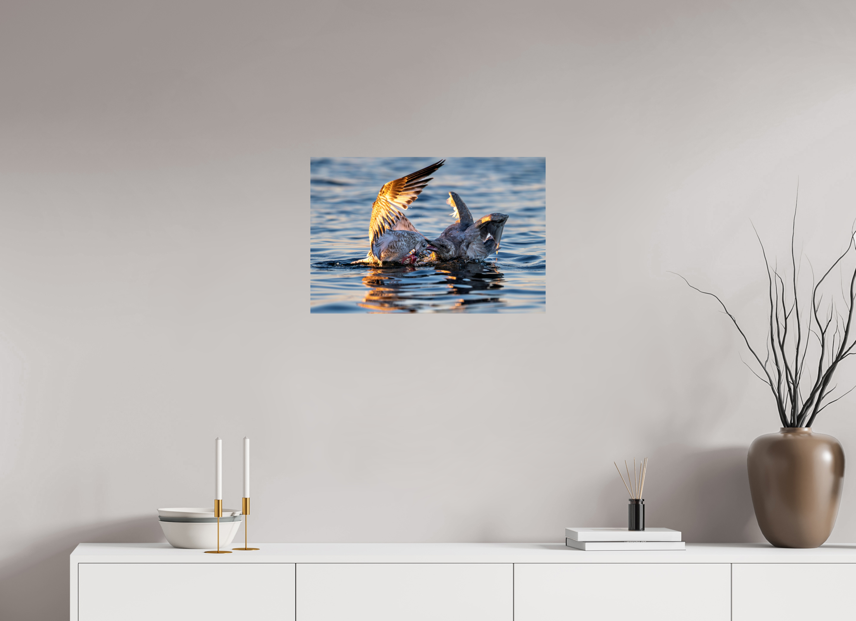 24 x 16″, Photo Print On Fuji Crystal DP II Seabird Battle